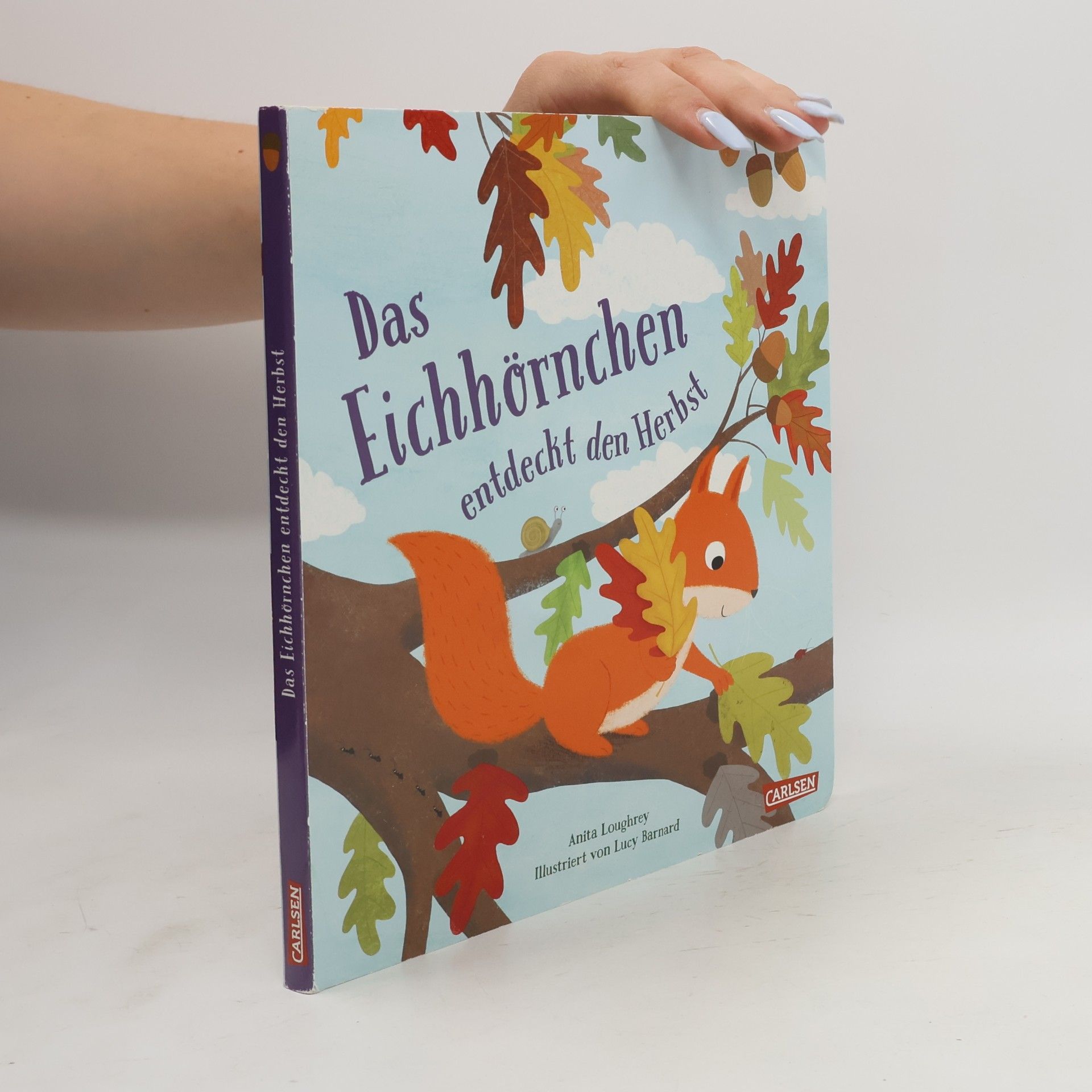Anita Loughrey Das Eichhörnchen entdeckt den Herbst