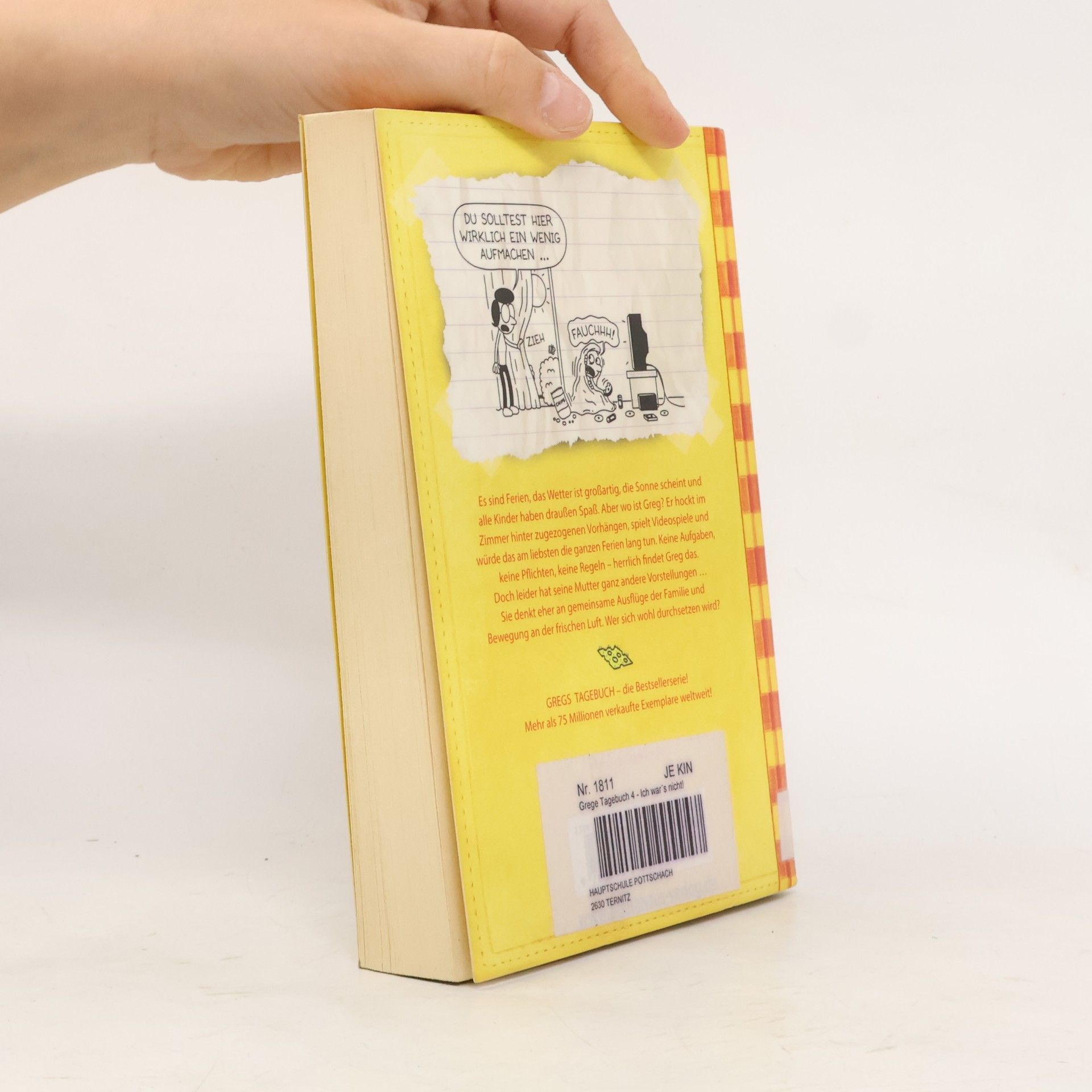 Jeff Kinney Gregs Tagebuch 4 - Ich war's nicht!