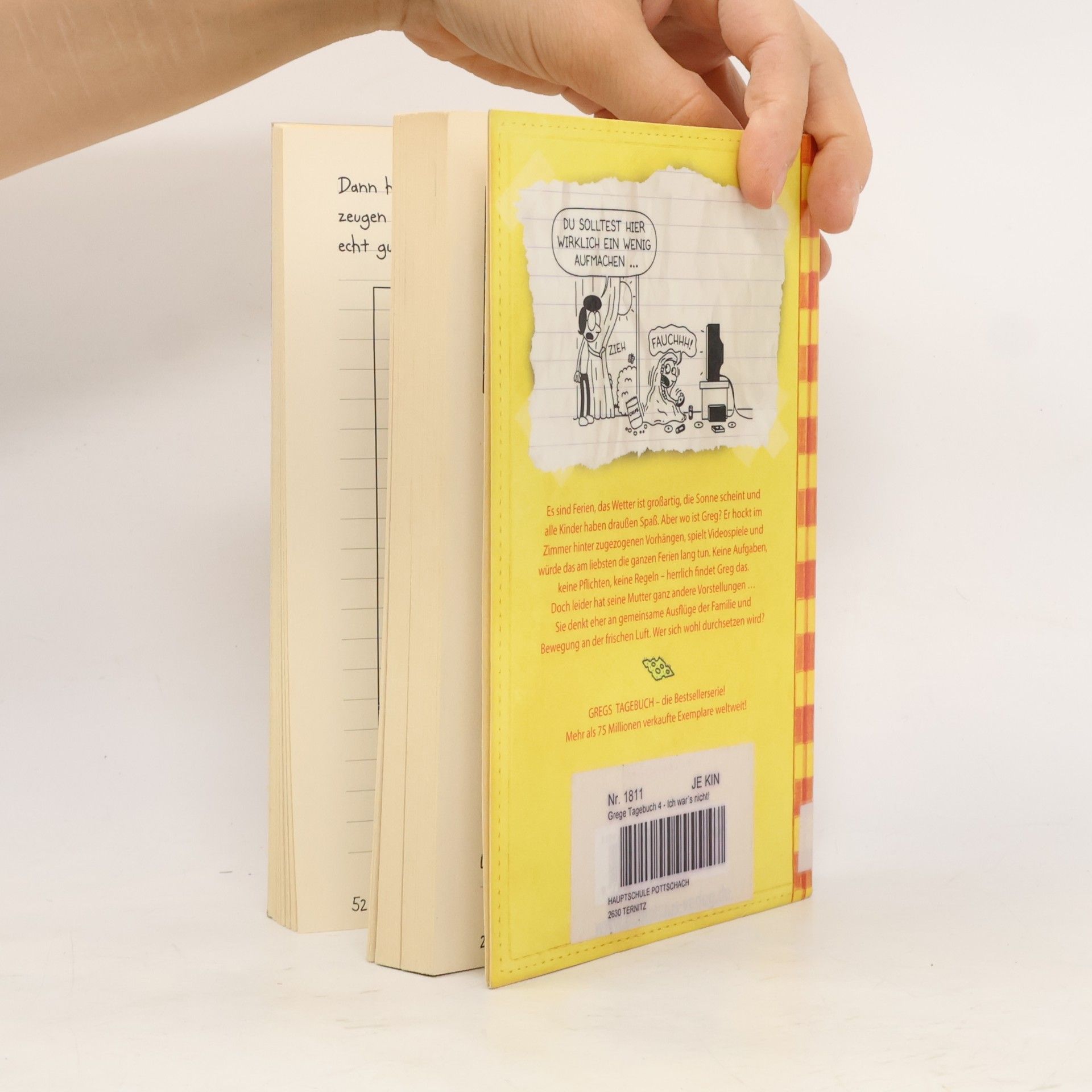 Jeff Kinney Gregs Tagebuch 4 - Ich war's nicht!