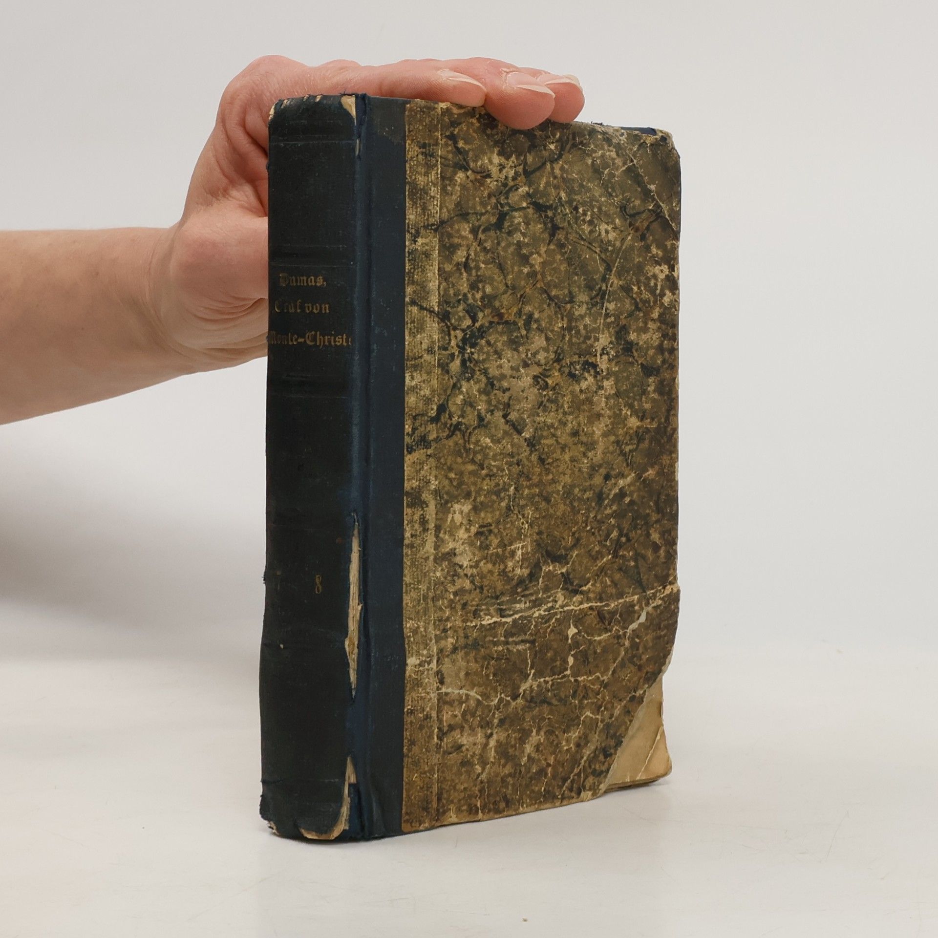 Alexandre Dumas Der Graf von Monte-Christo. Siebenter Band