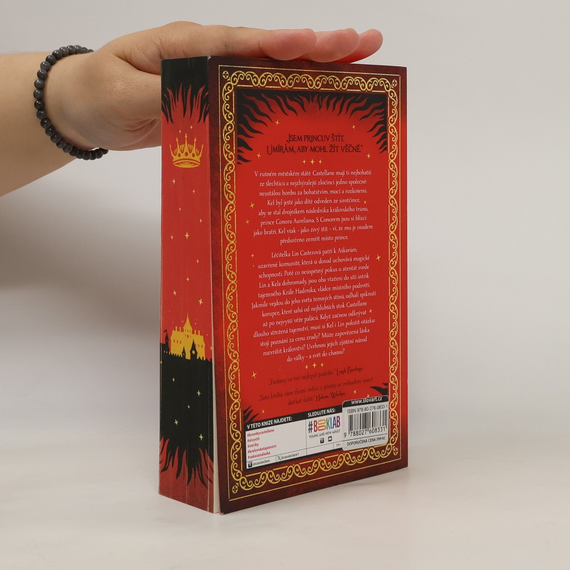 Cassandra Clare Princův štít