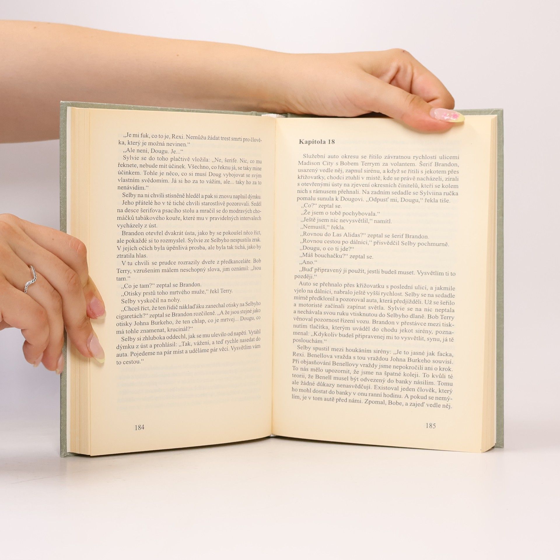 Erle Stanley Gardner Okresní prokurátor jde k soudu / Okresní prokurátor vypaluje rybník