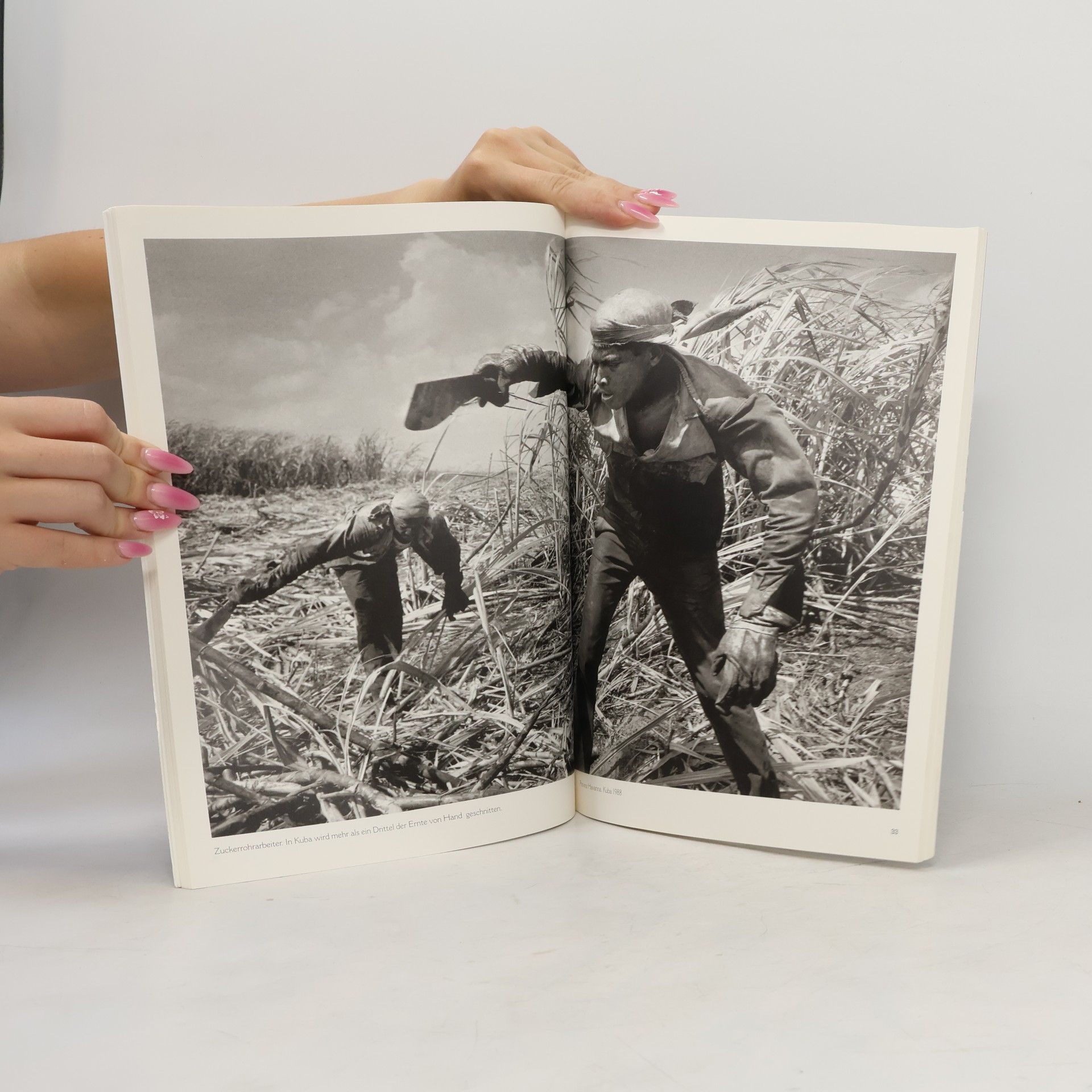 Sebastião Salgado Die Würde des Menschen