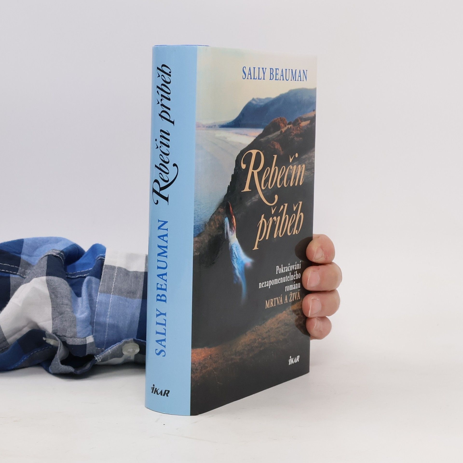 Sally Beauman Rebečin příběh