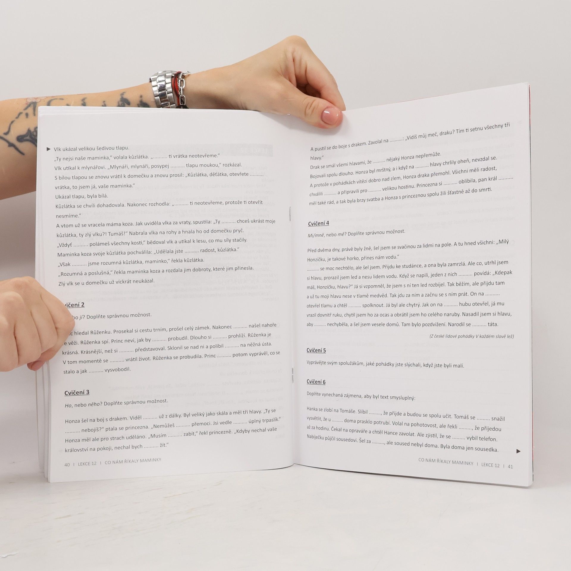 Vlaďka Dobešová Žijeme v Česku, umíme česky: Pracovní sešit