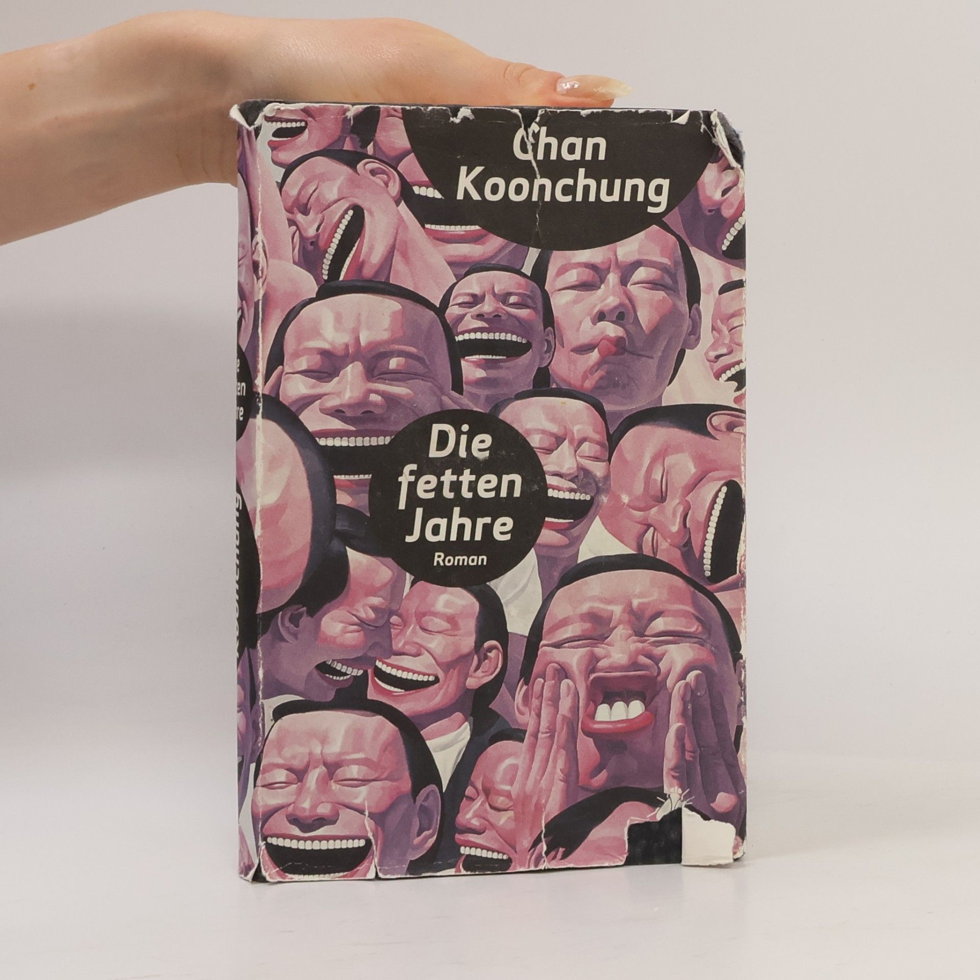 Koonchung Chan Die fetten Jahre