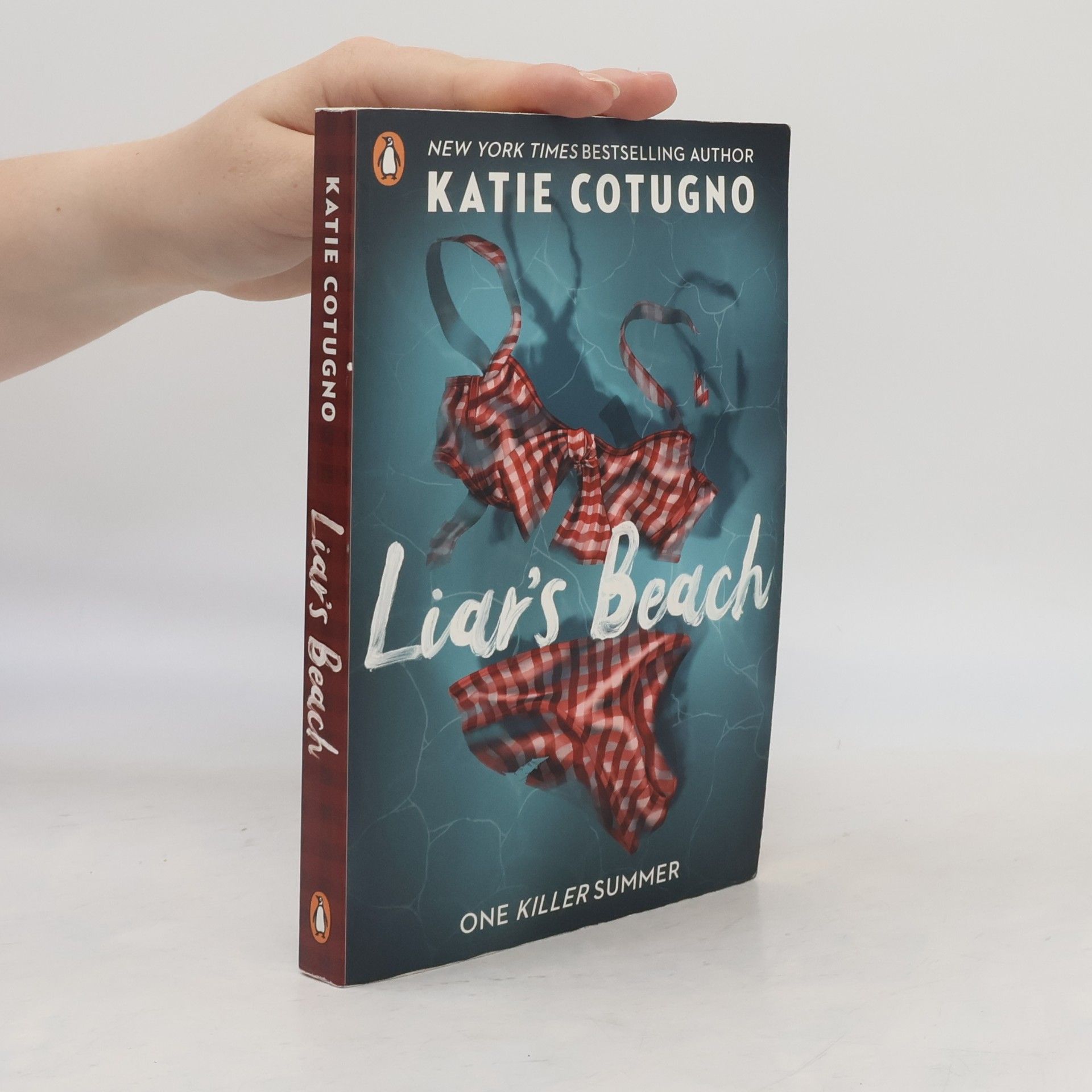 Katie Cotugno Liar's Beach