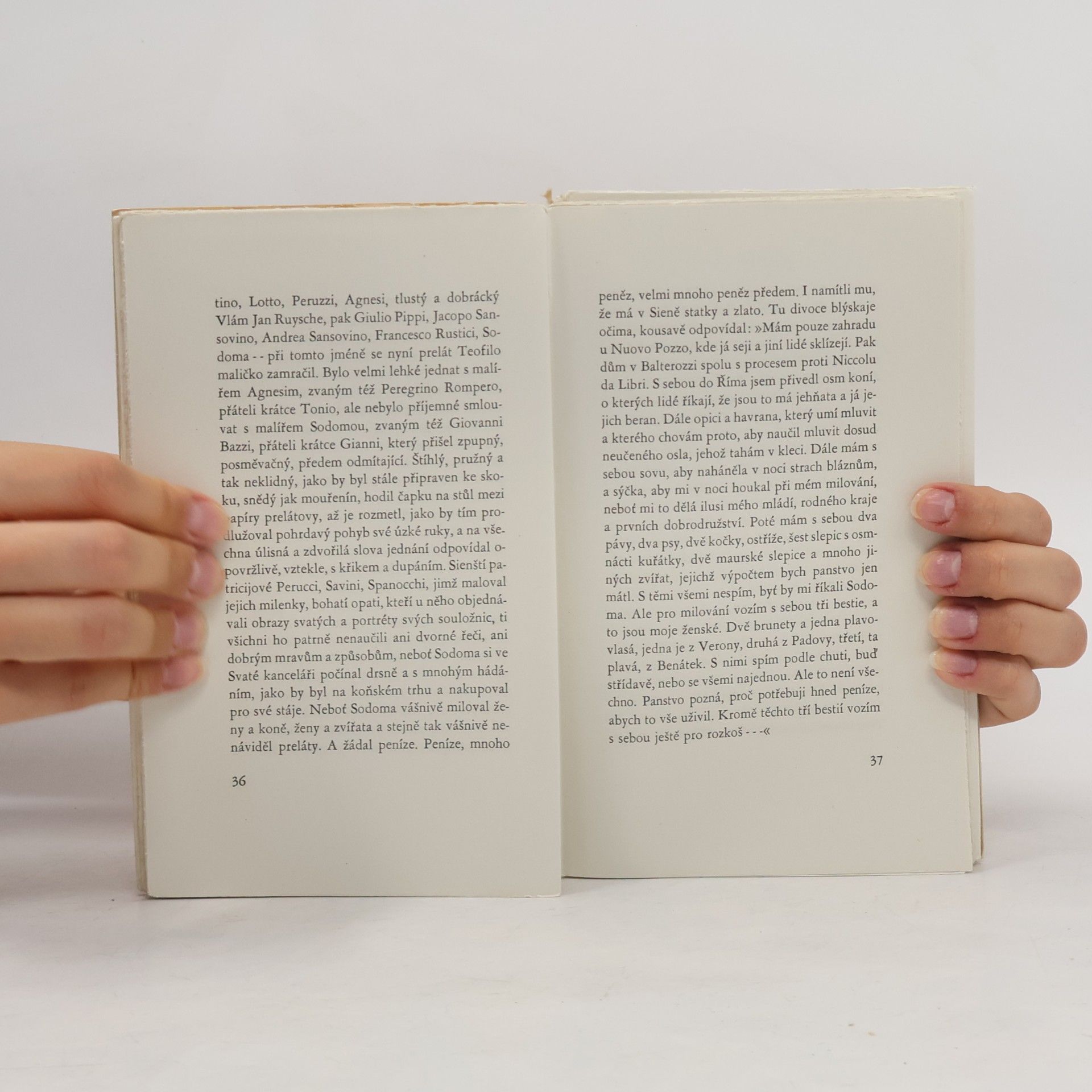 Karel Schulz Papežská mše. Fragment druhého dílu michelangelovské trilogie Kámen a bolest