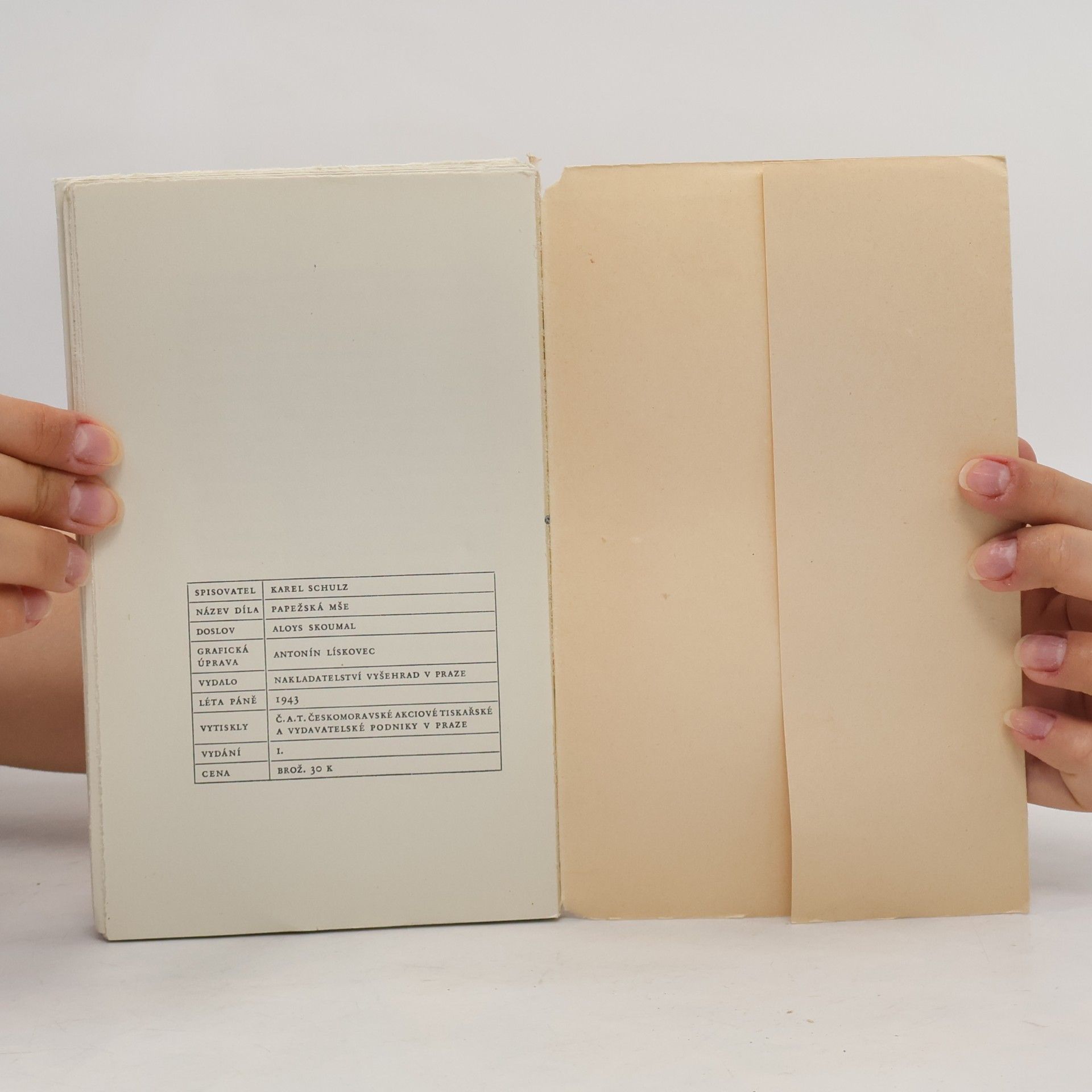 Karel Schulz Papežská mše. Fragment druhého dílu michelangelovské trilogie Kámen a bolest