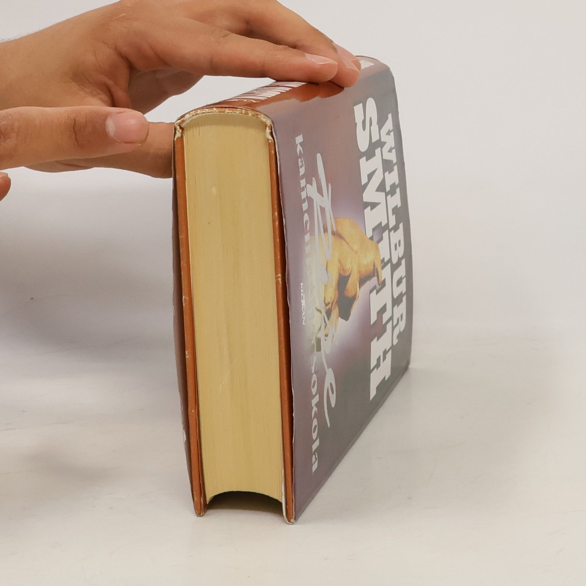 Wilbur Smith Říše kamenného sokola