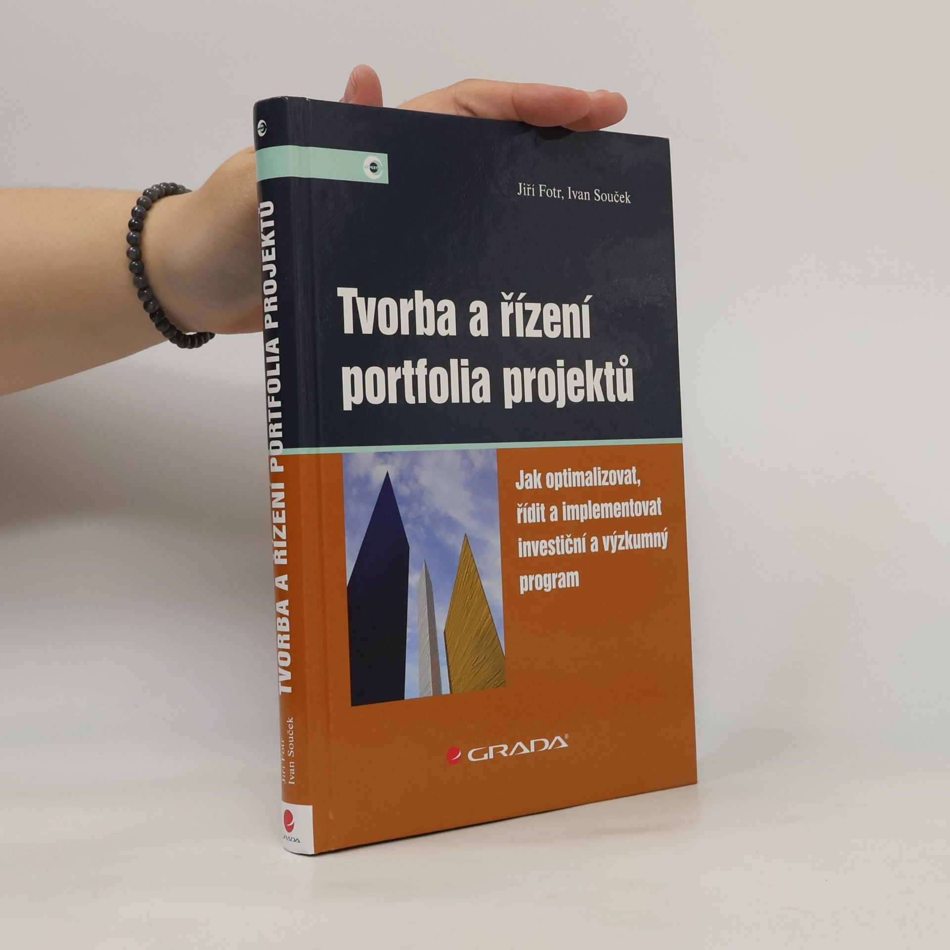 Tvorba a řízení portfolia projektů
