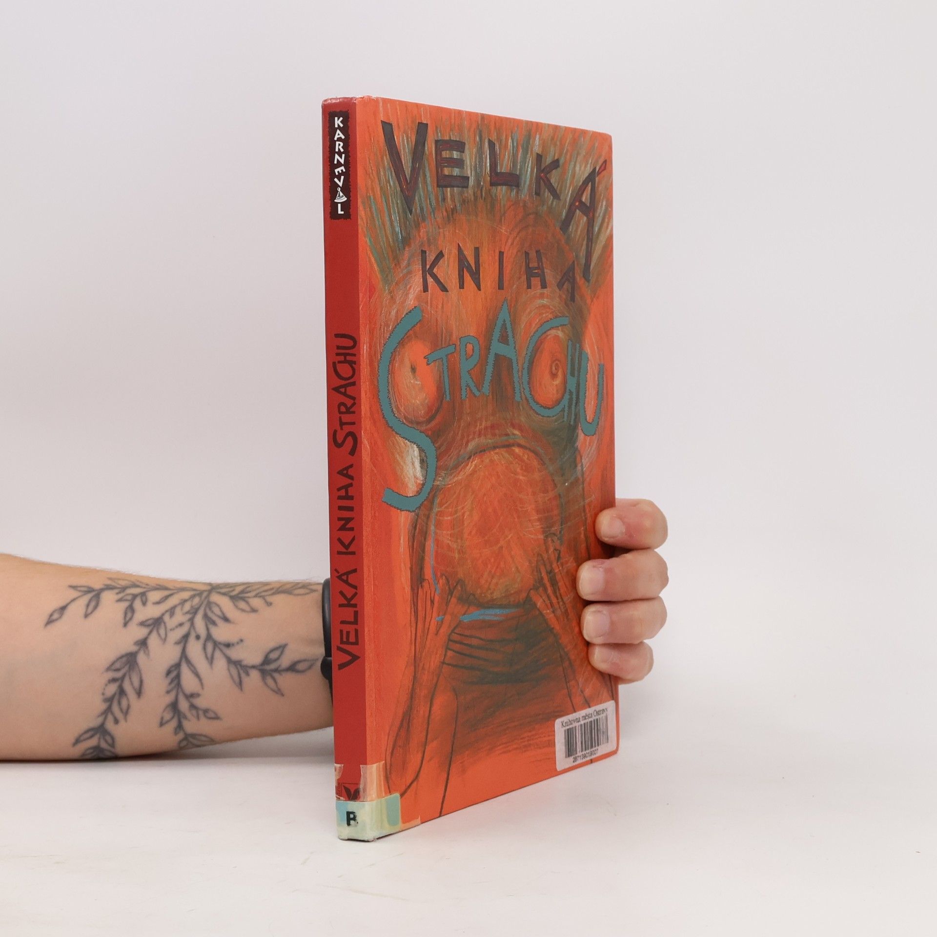 Veronika Bohatá Velká kniha strachu