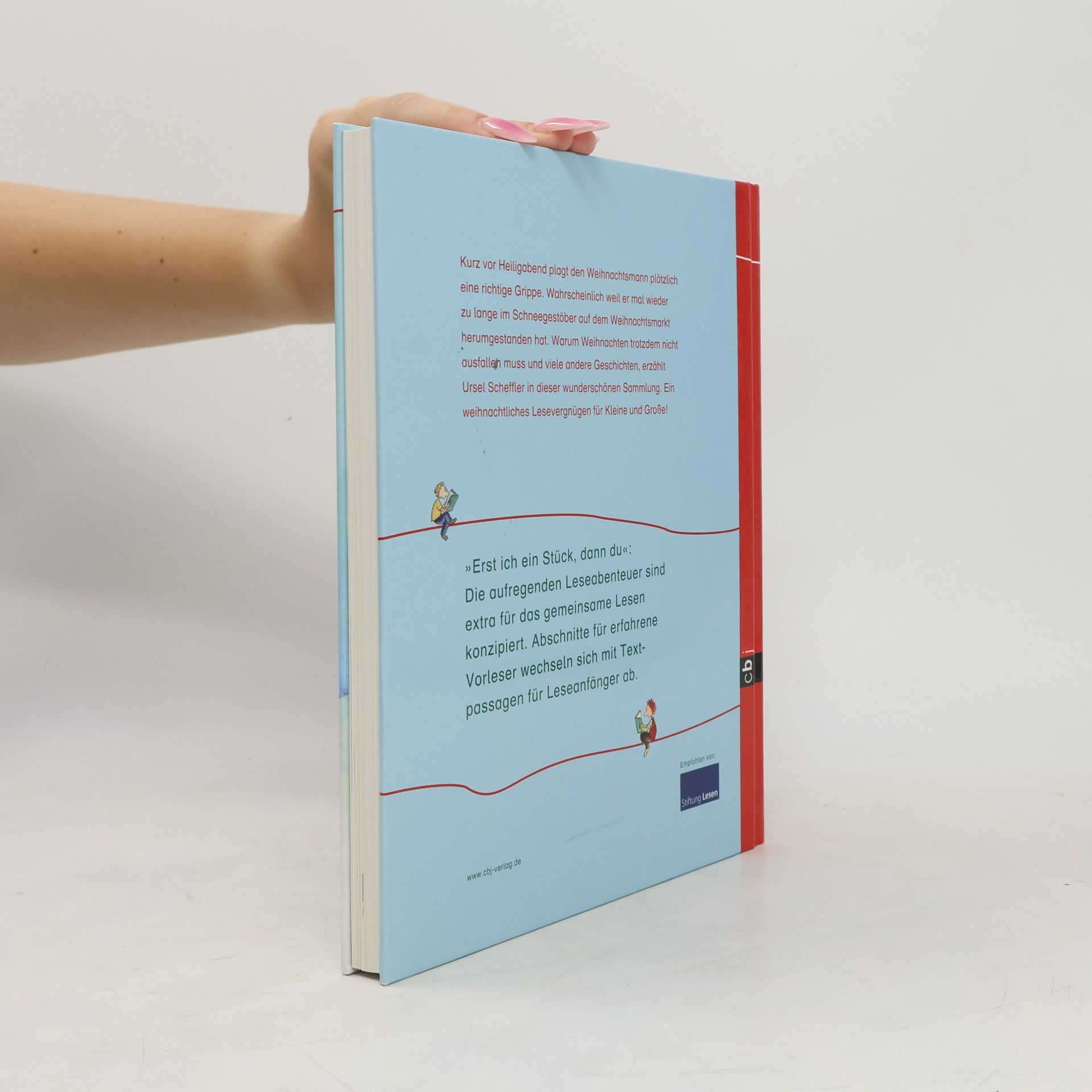 Ursel Scheffler Das große Buch der Weihnachtsgeschichten