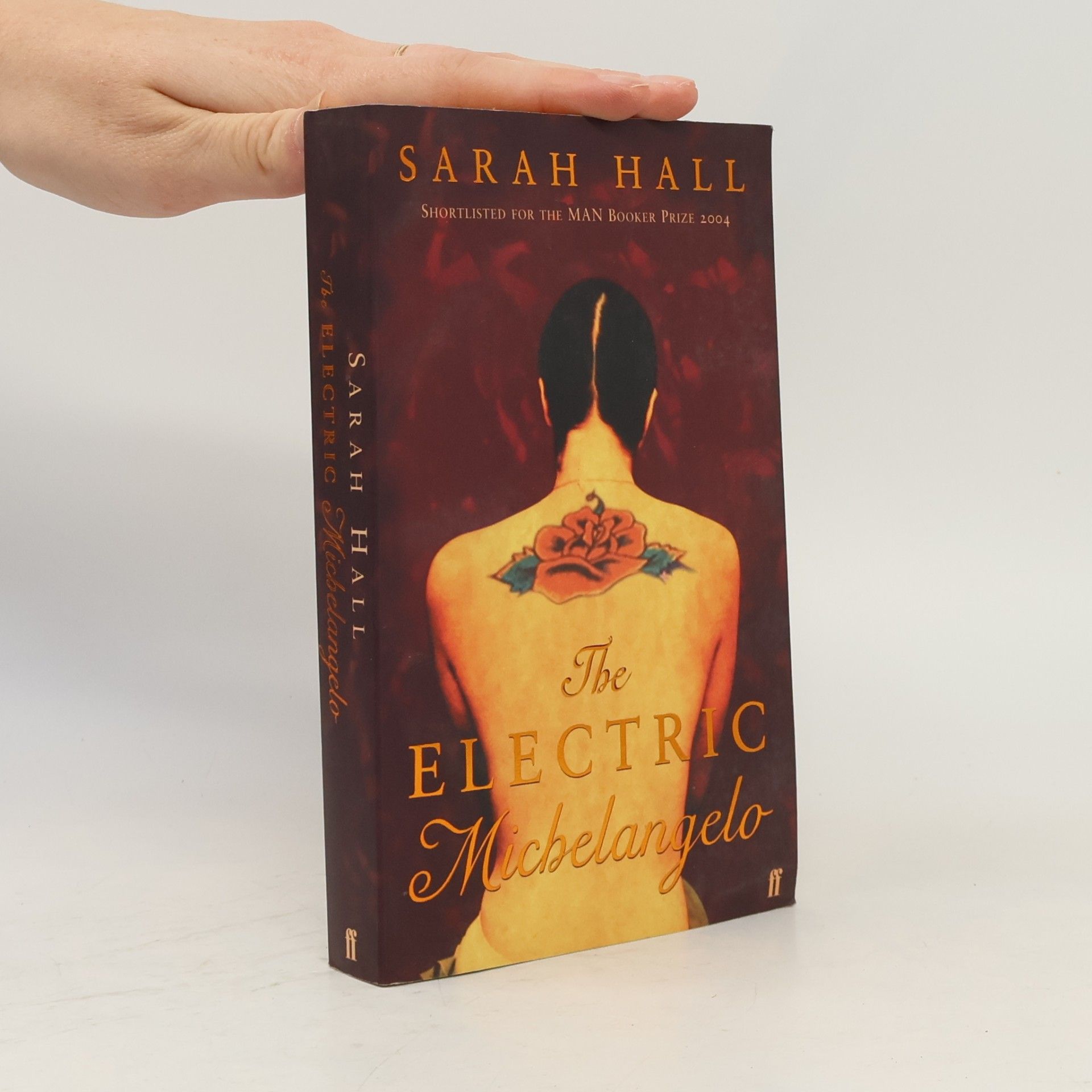 Sarah Hall The Electric Michelangelo