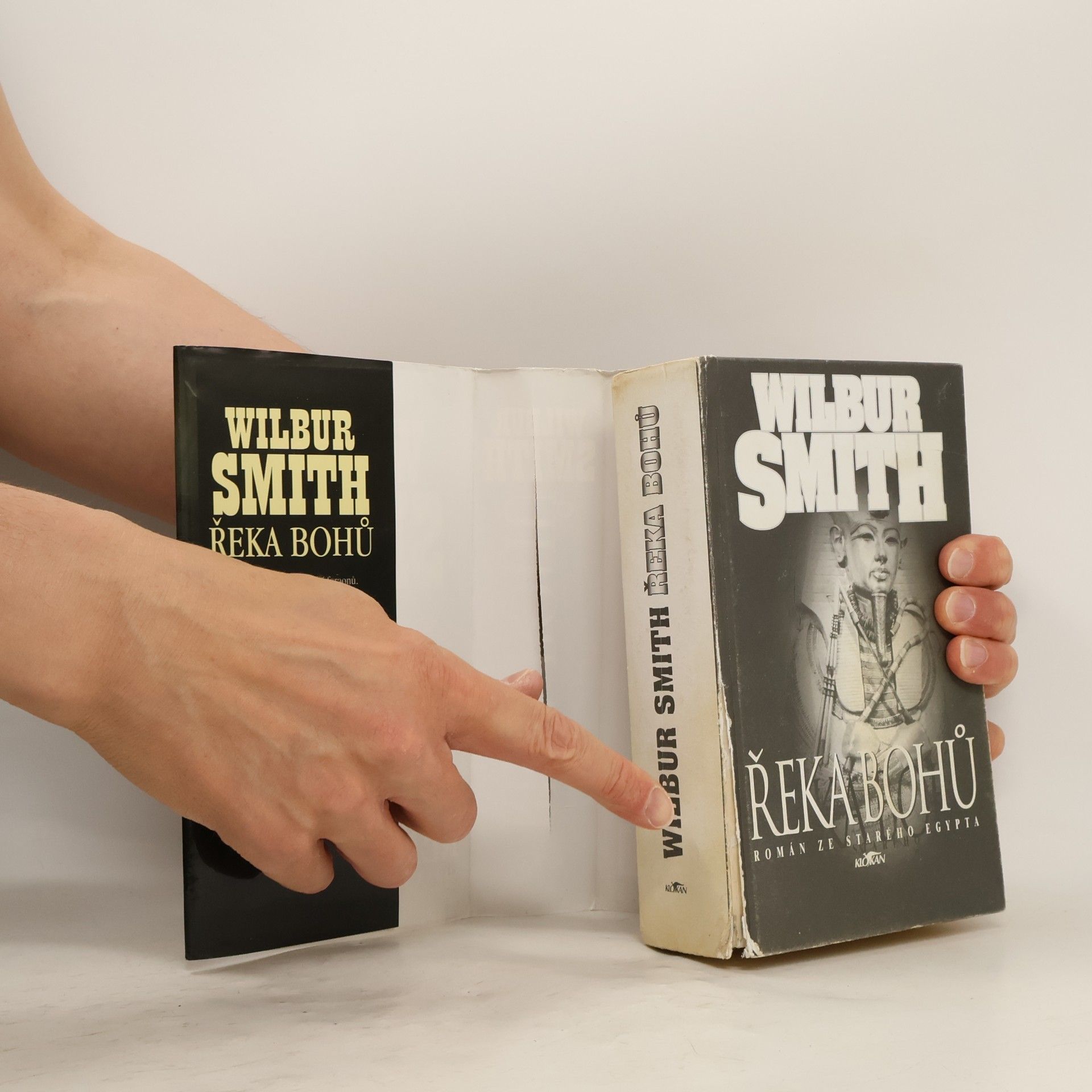 Wilbur Smith Řeka bohů