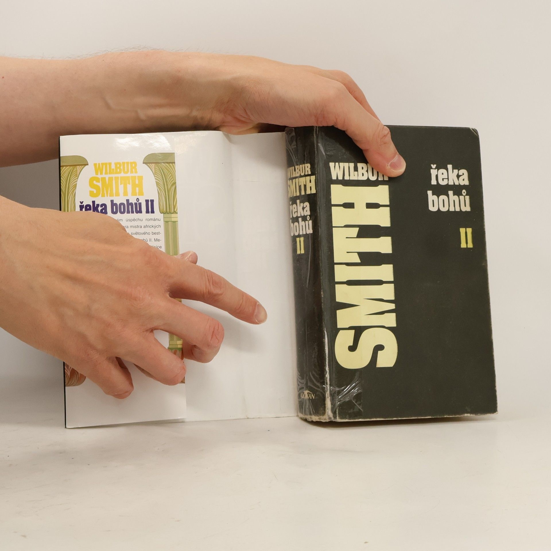 Wilbur Smith Řeka bohů II
