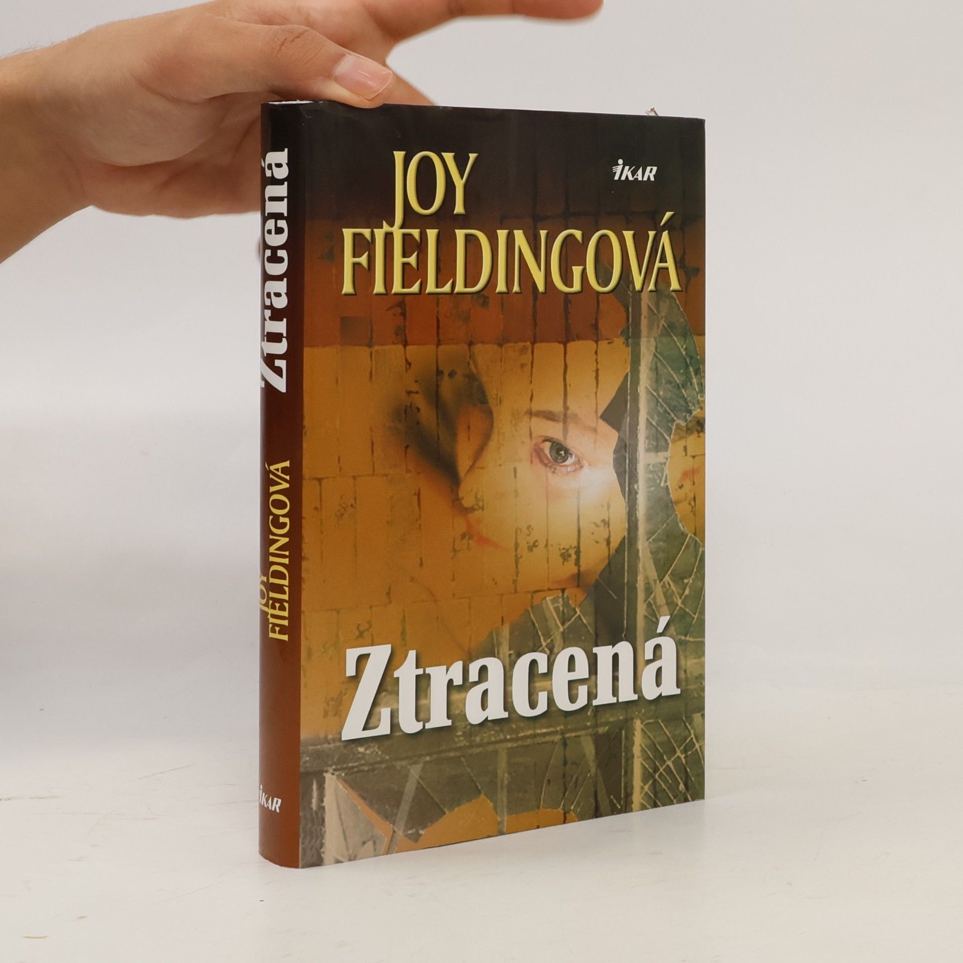 Joy Fielding Ztracená