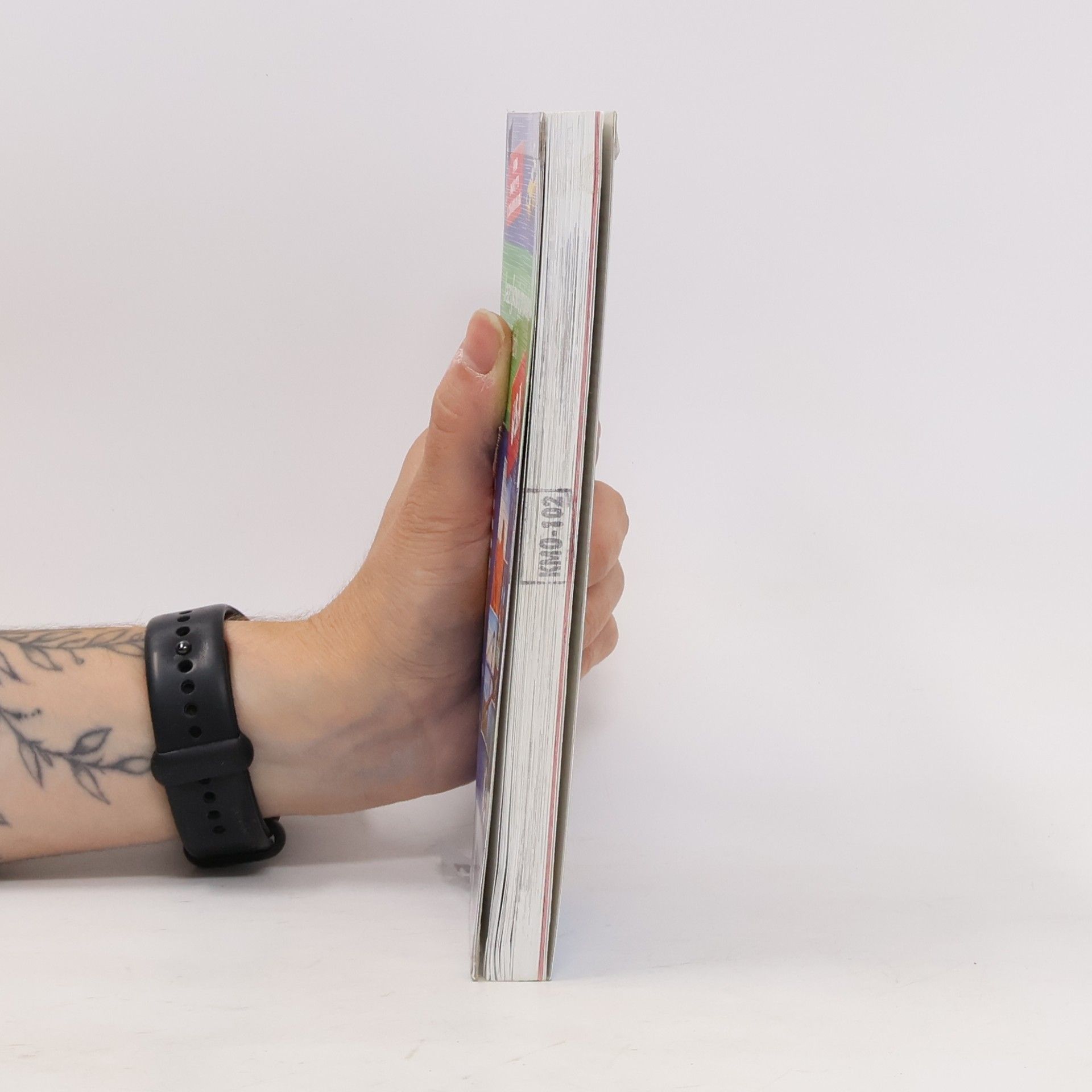 Various authors Jazykový průvodce pro přežití – USA
