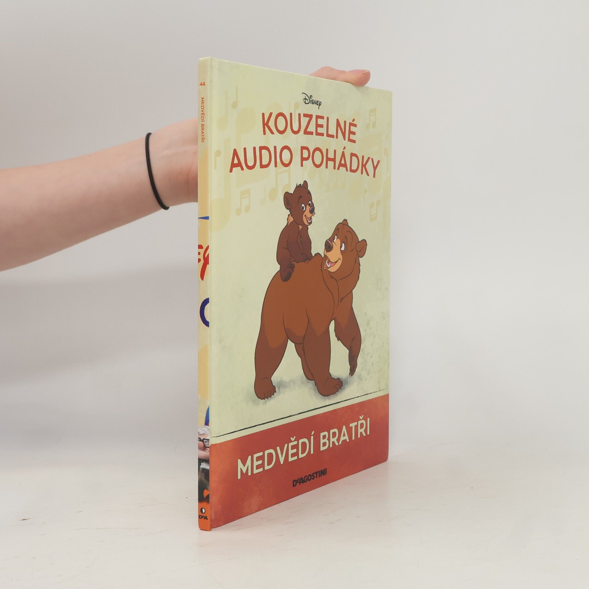 Kolektiv autorů Medvědí bratři