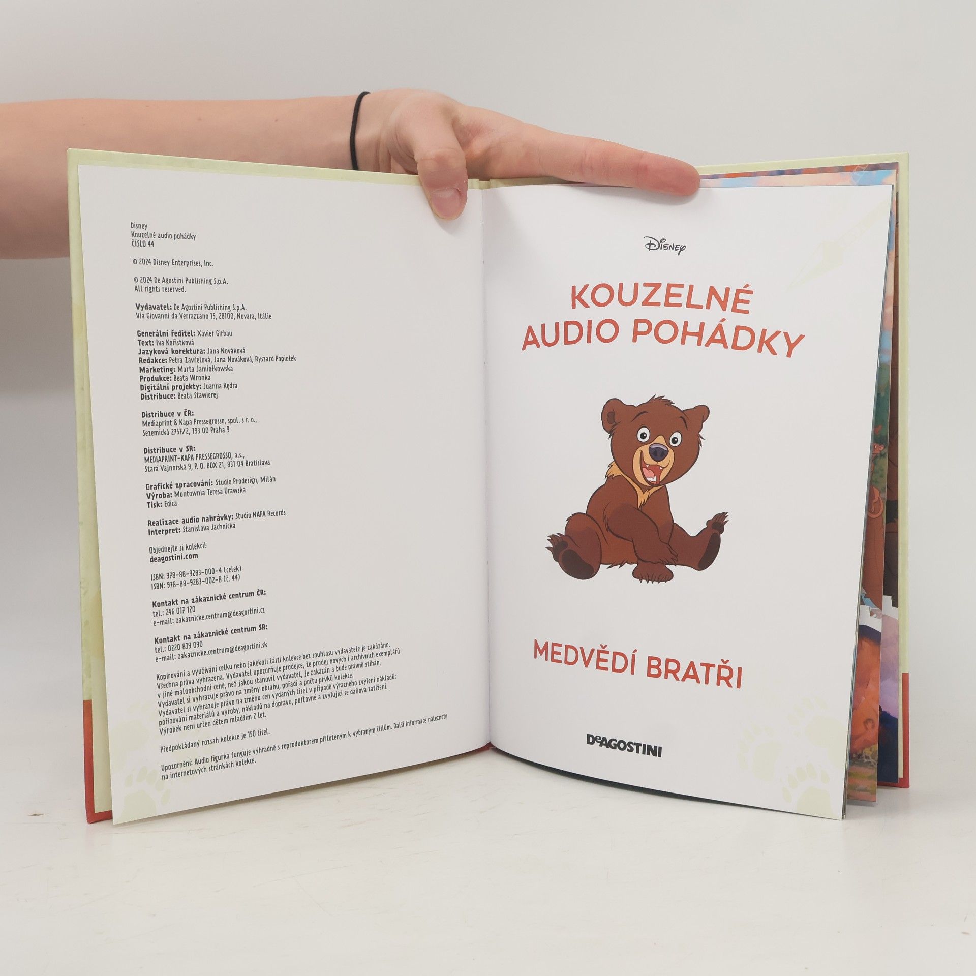 Kolektiv autorů Medvědí bratři
