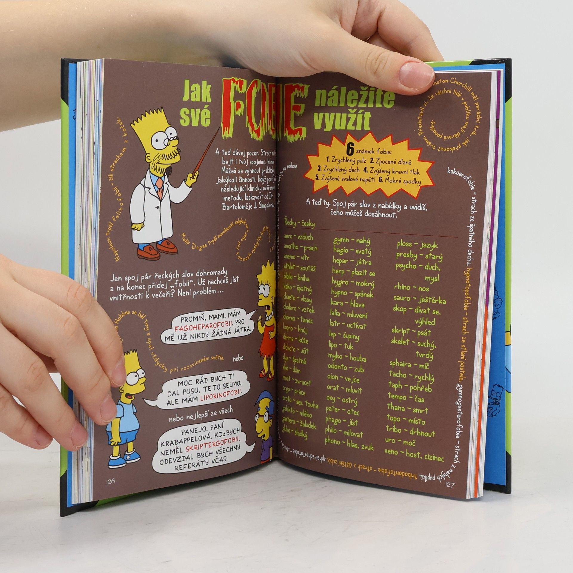 Matt Groening Bart Simpson: Průvodce životem