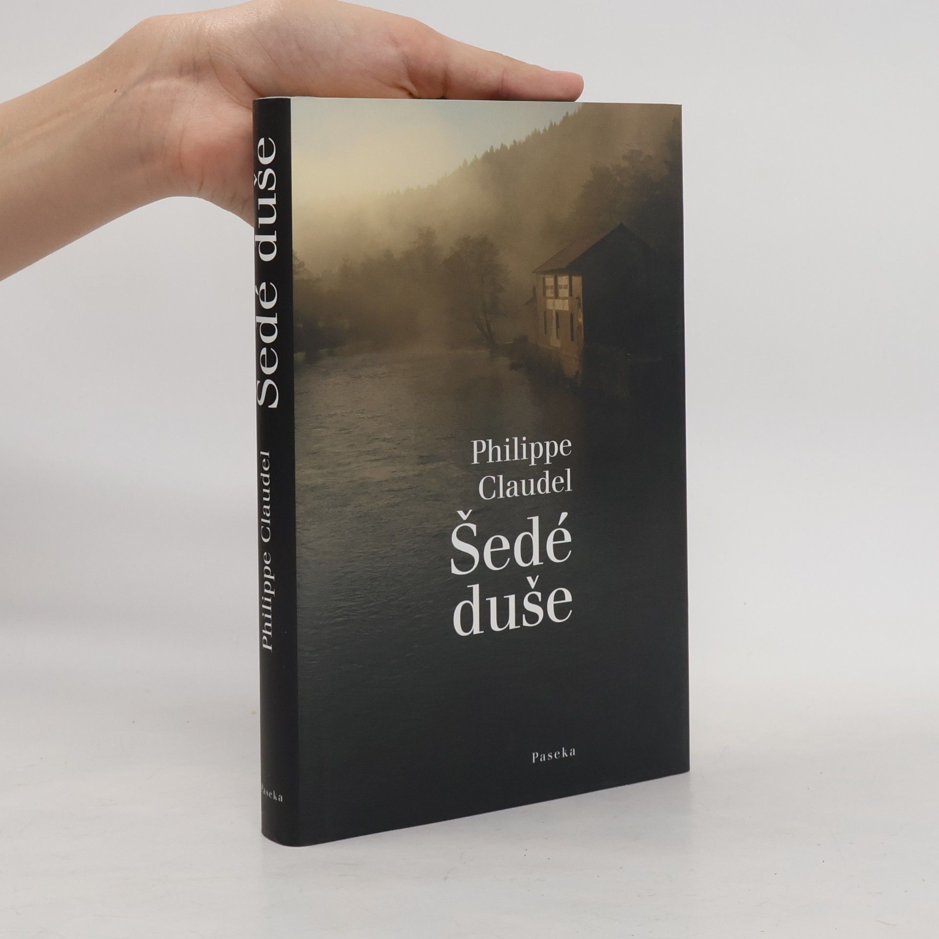 Philippe Claudel Šedé duše