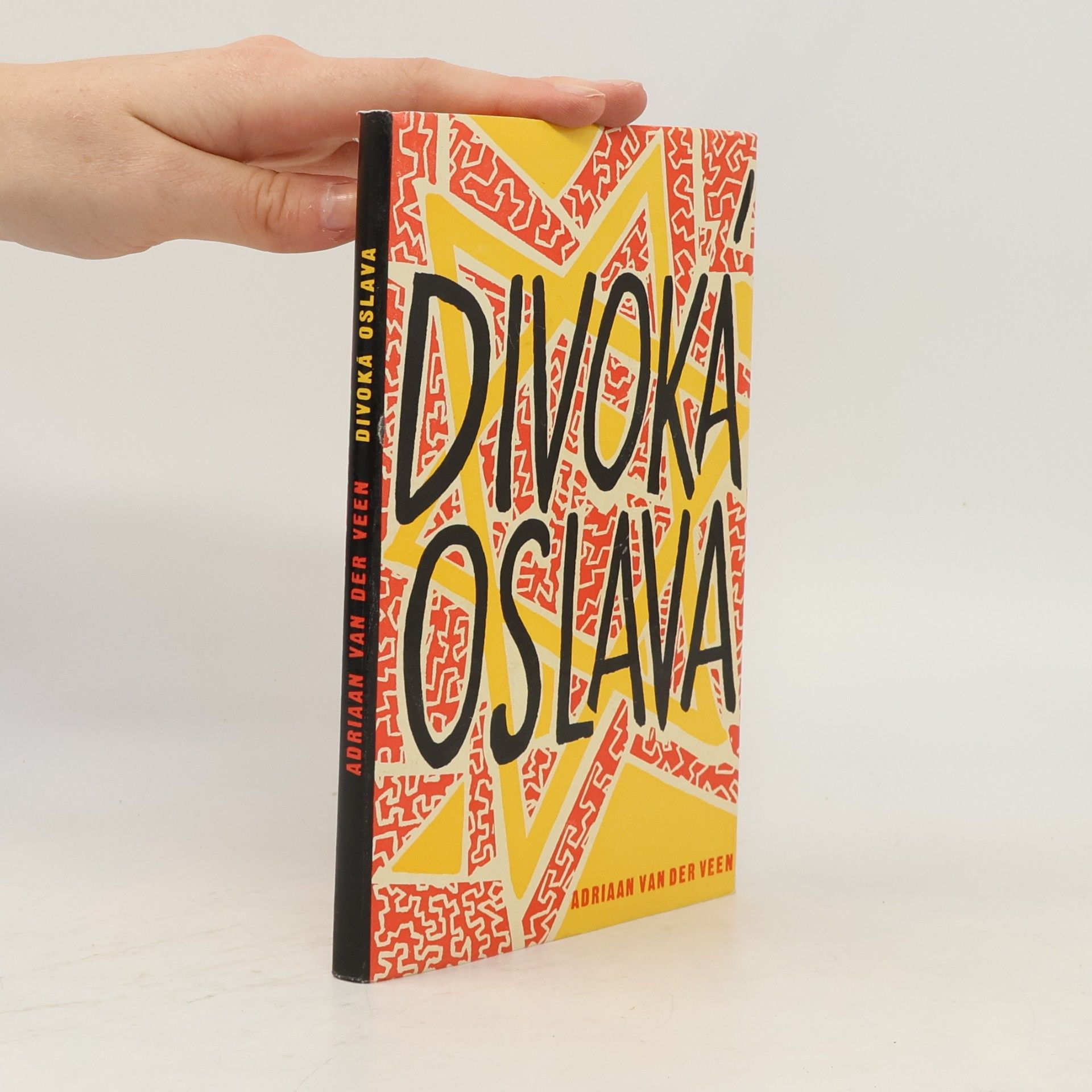 Adriaan van der Veen Divoká oslava