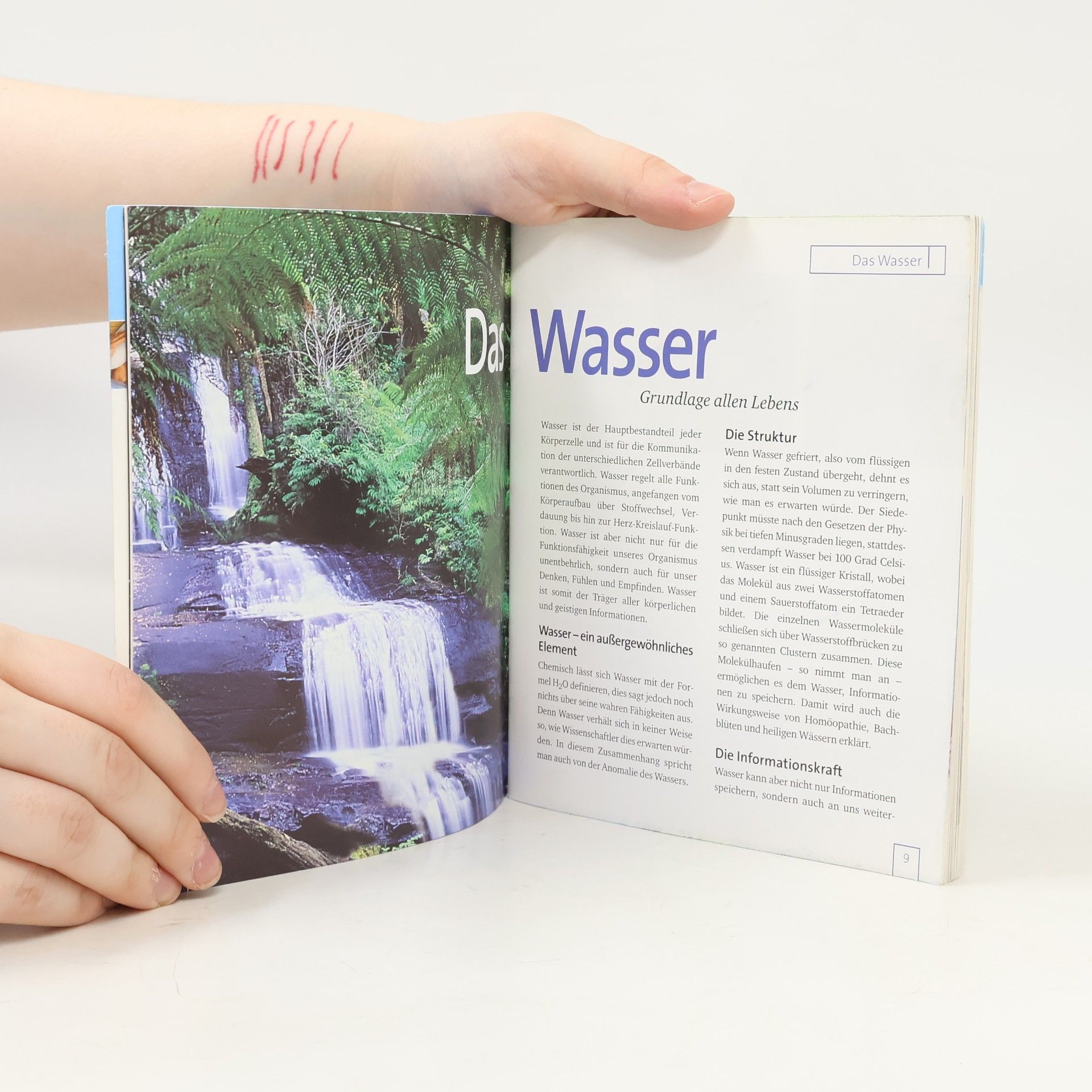 Barbara Hendel Gesund & fit mit Wasser & Salz, m. Dosierlöffel