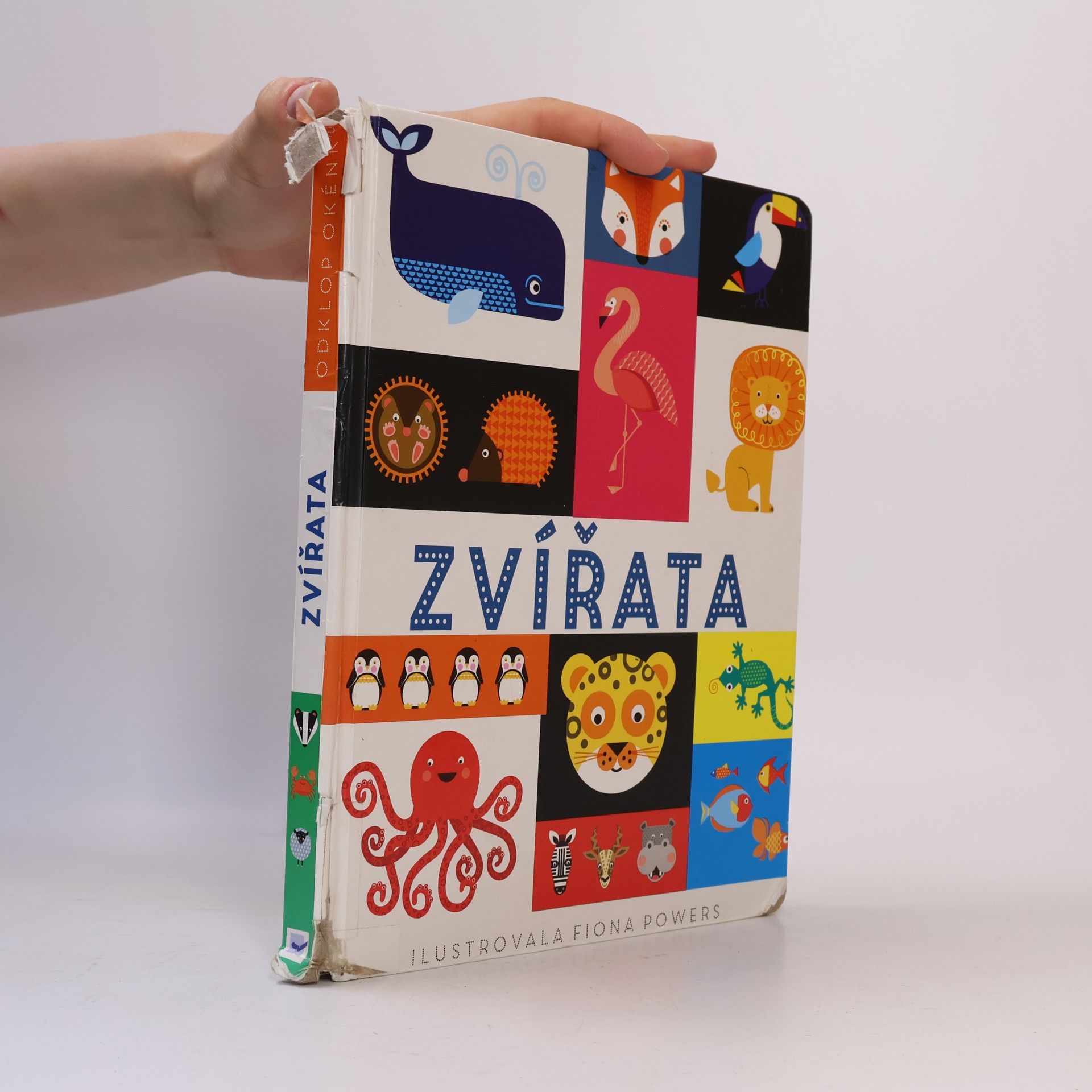 Fiona Powers Zvířata