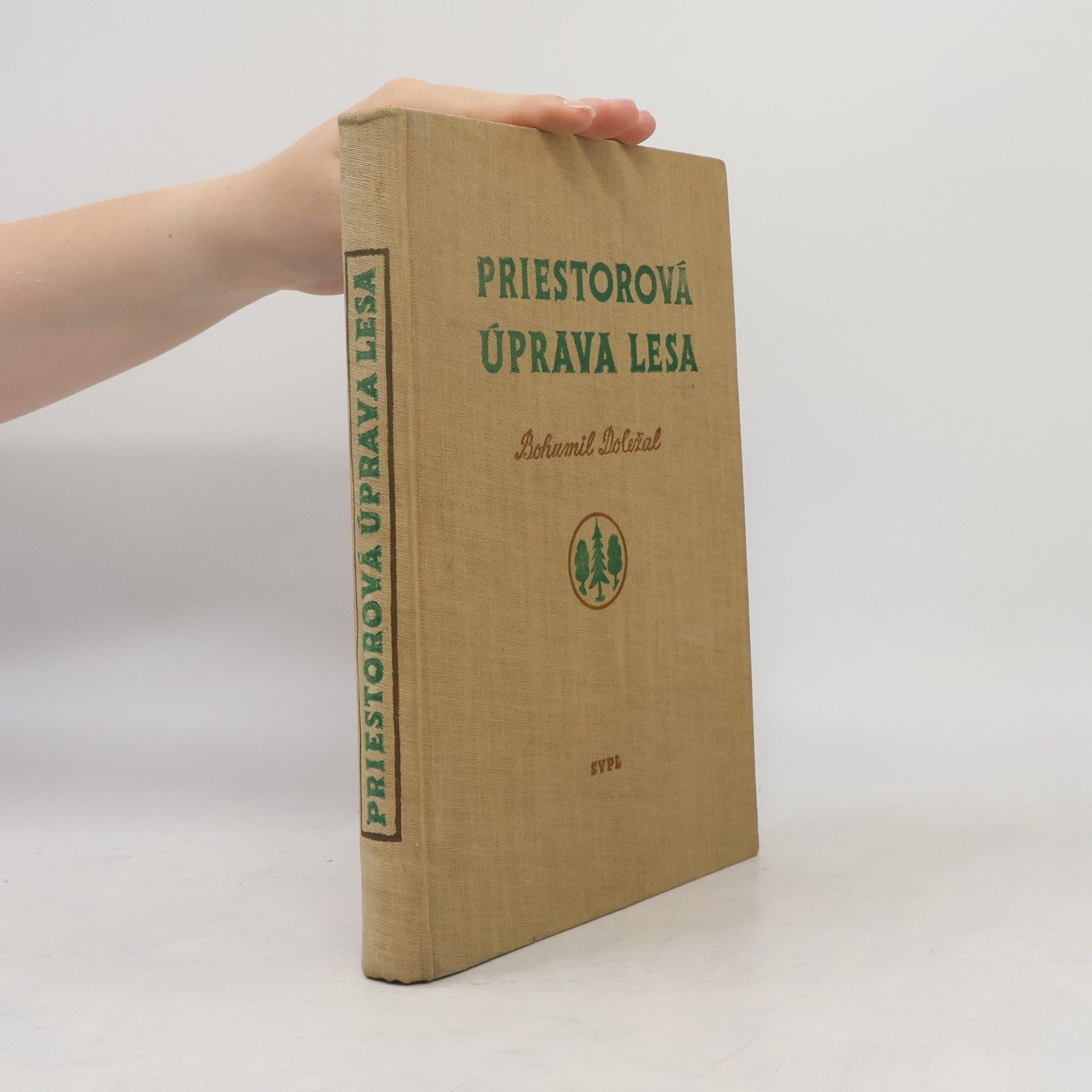 Priestorová úprava lesa
