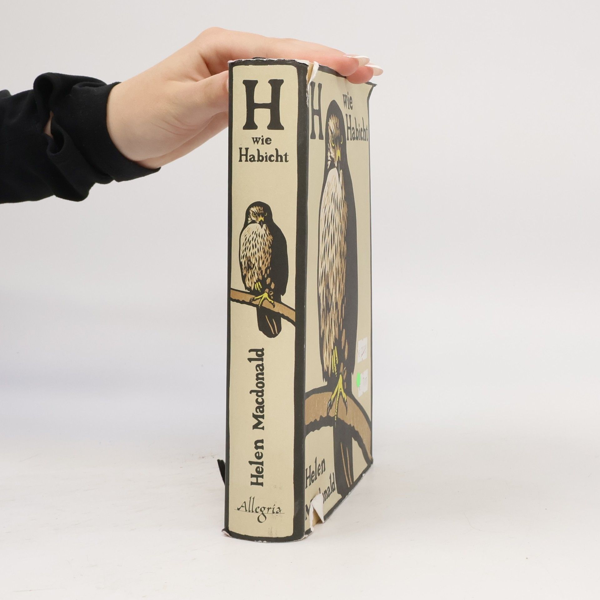 Helen Macdonald H wie Habicht