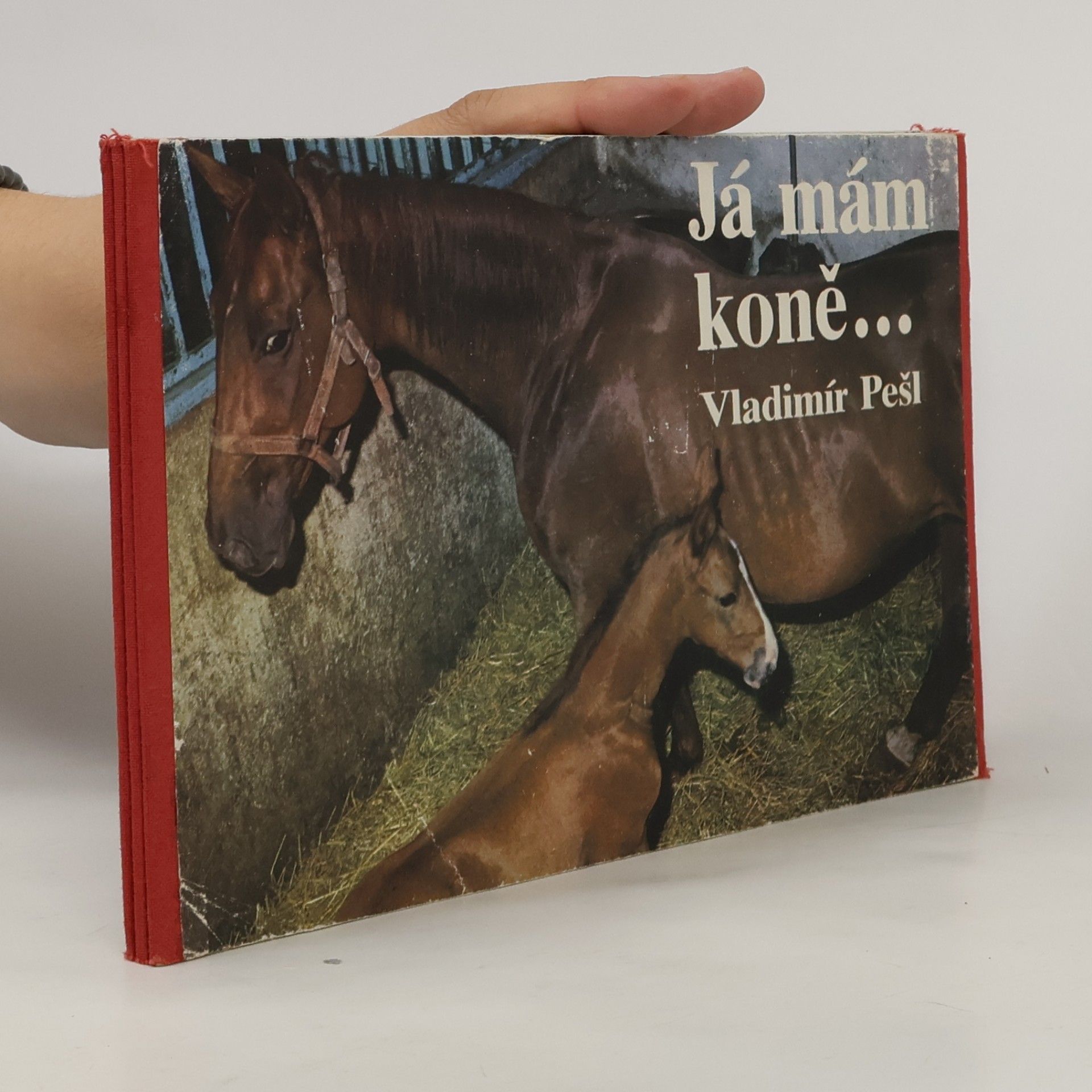 Vladimír Pešl Já mám koně...