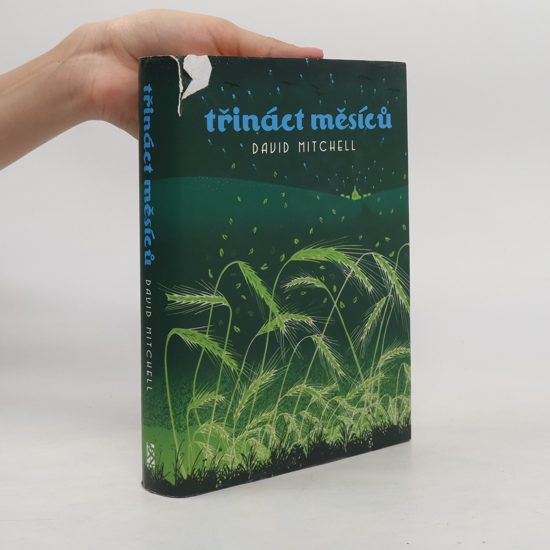 David Mitchell Třináct měsíců