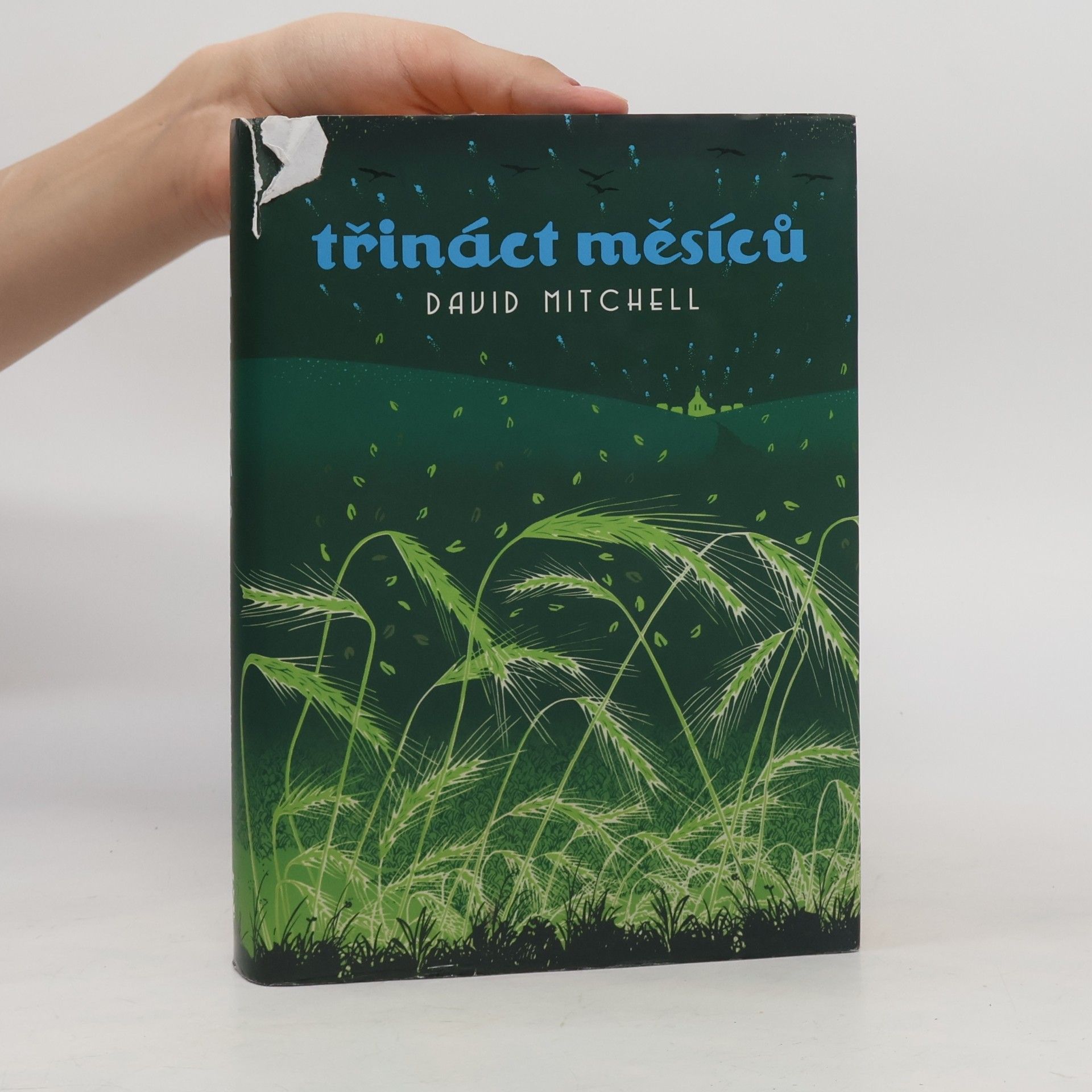 David Mitchell Třináct měsíců