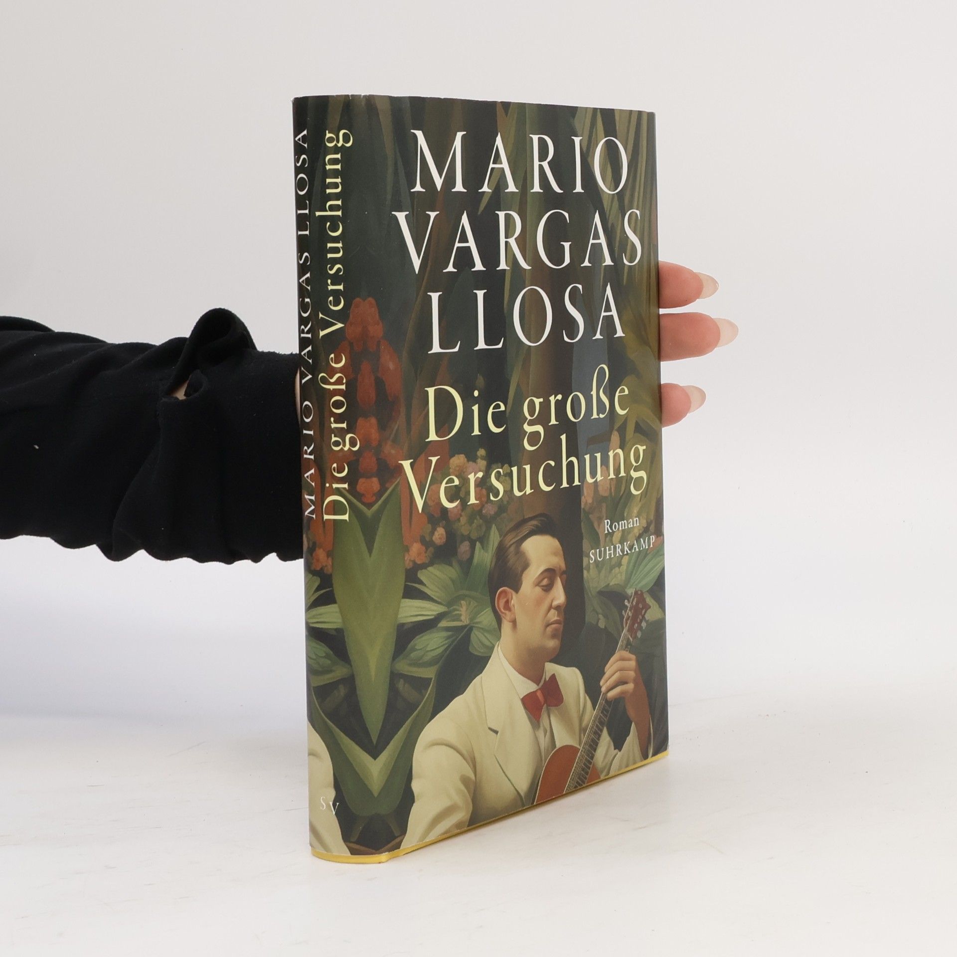 Mario Vargas Llosa Die große Versuchung. Roman | Das ganze Leben, die ganze Welt in einem Buch