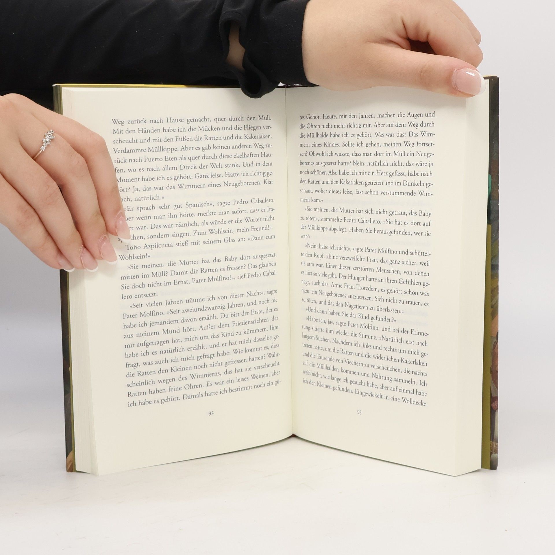 Mario Vargas Llosa Die große Versuchung. Roman | Das ganze Leben, die ganze Welt in einem Buch