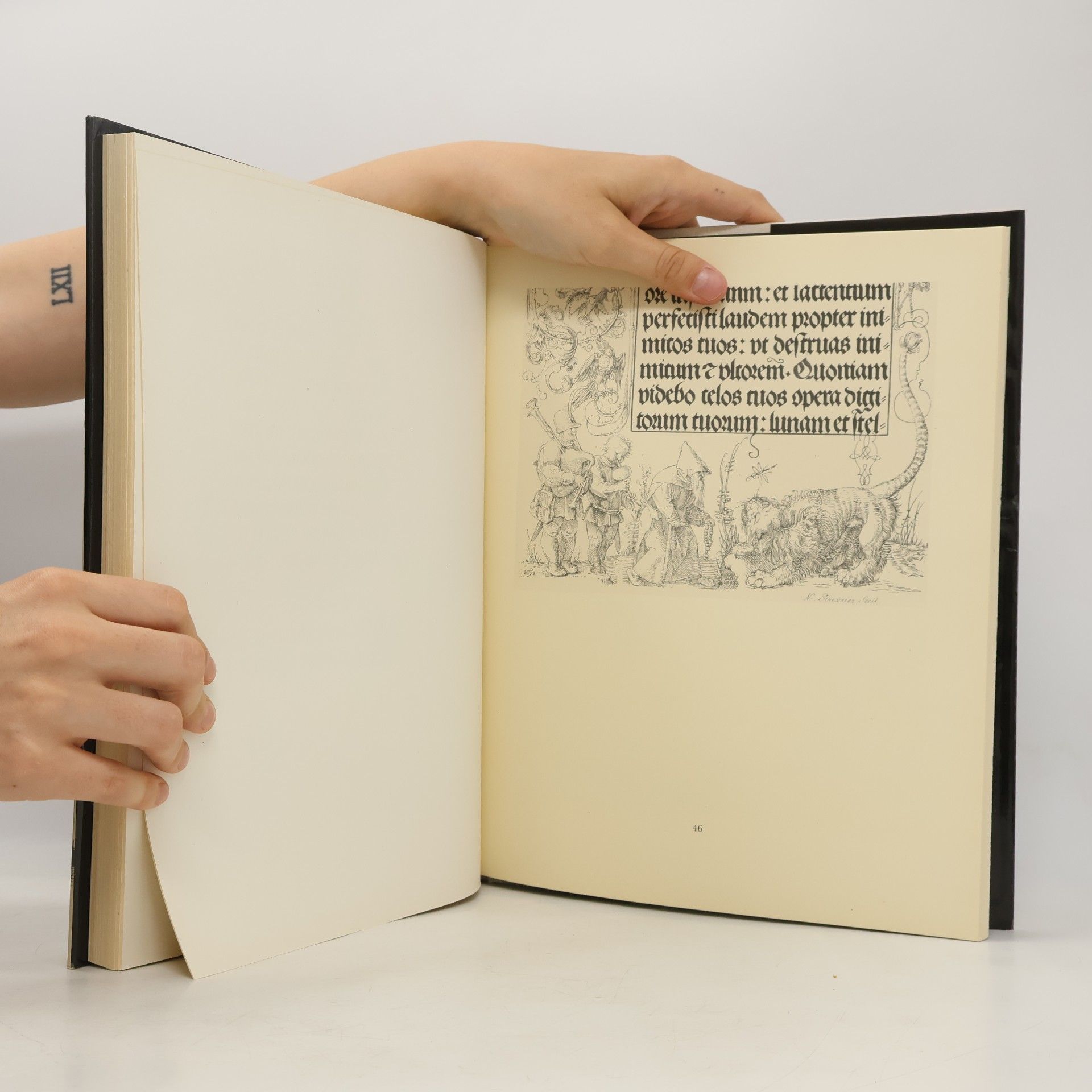 Albrecht Dürer Albrecht Dürer. Kresby