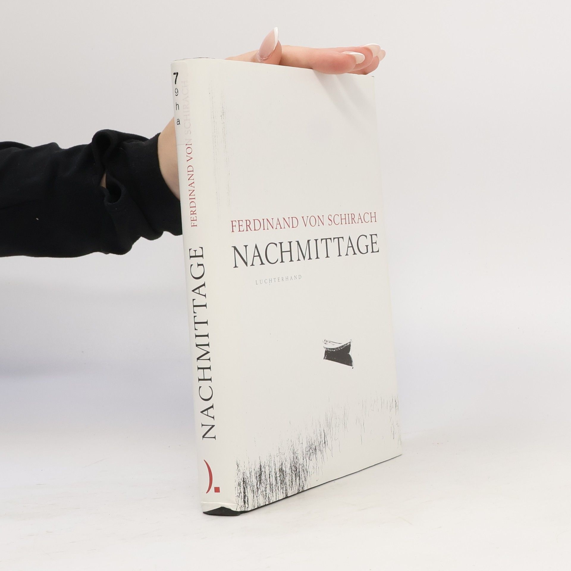 Ferdinand Schirach Nachmittage