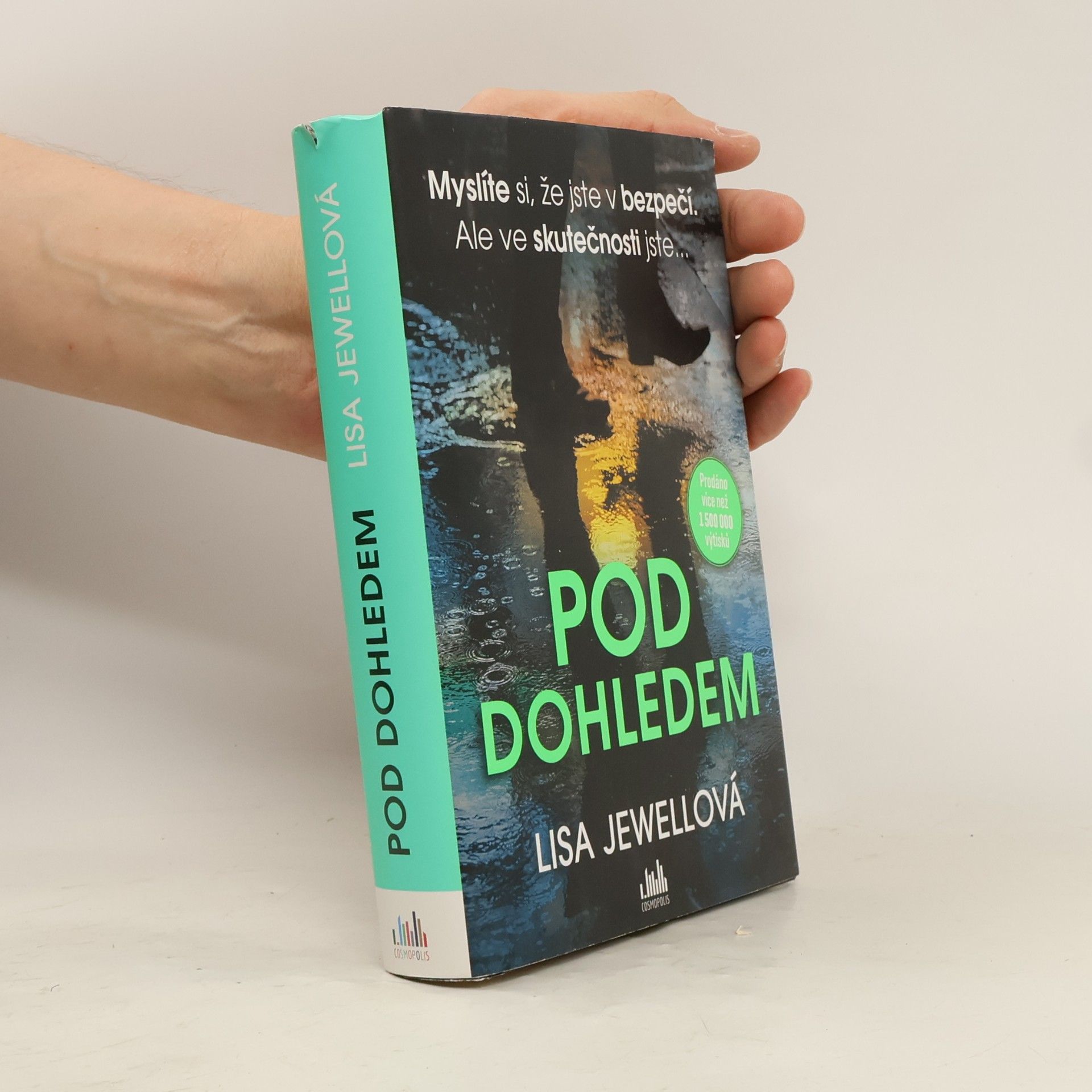 Lisa Jewell Pod dohledem