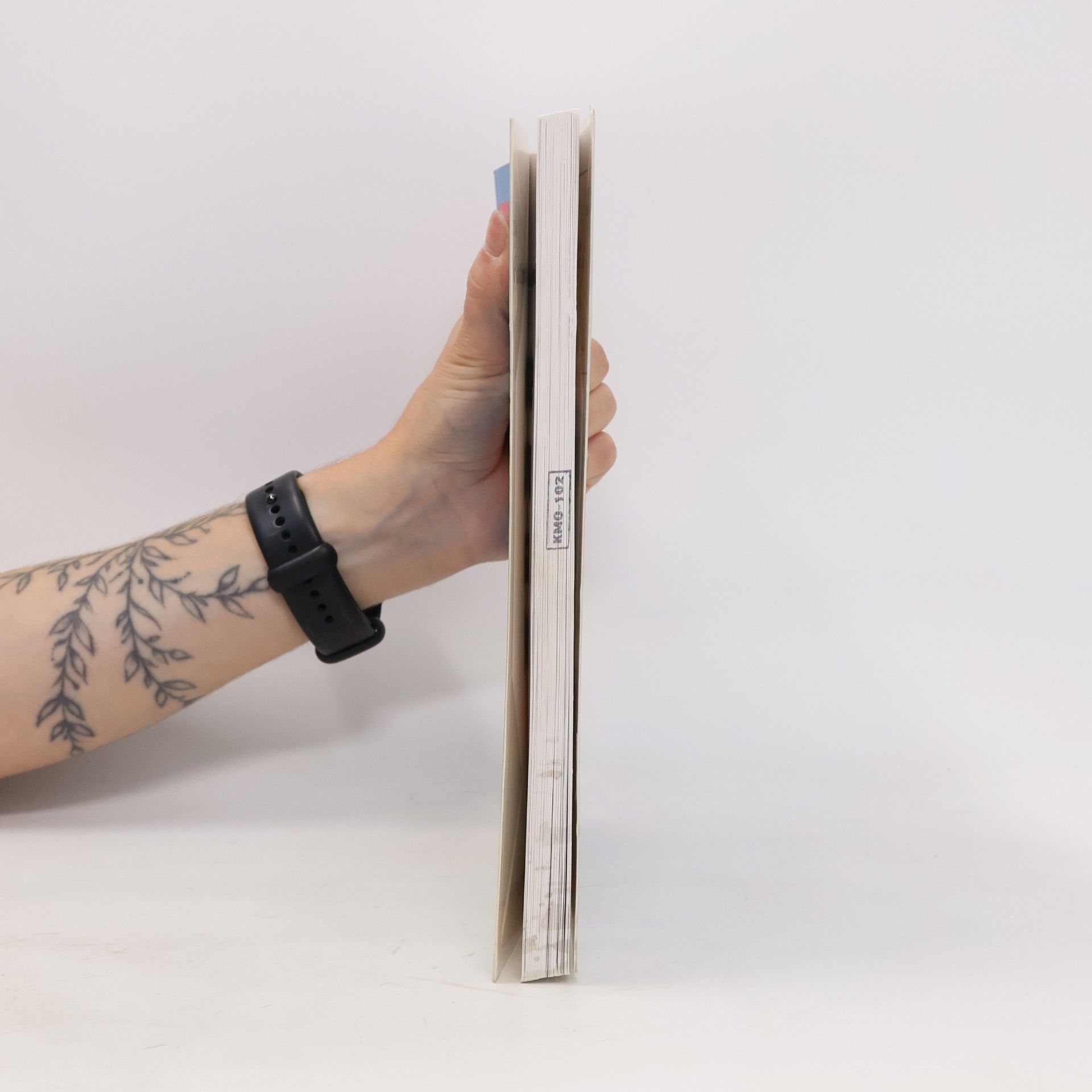 Scott Adams Přineste mi hlavu poslíčka Willyho! : kniha Dilbertových příběhů