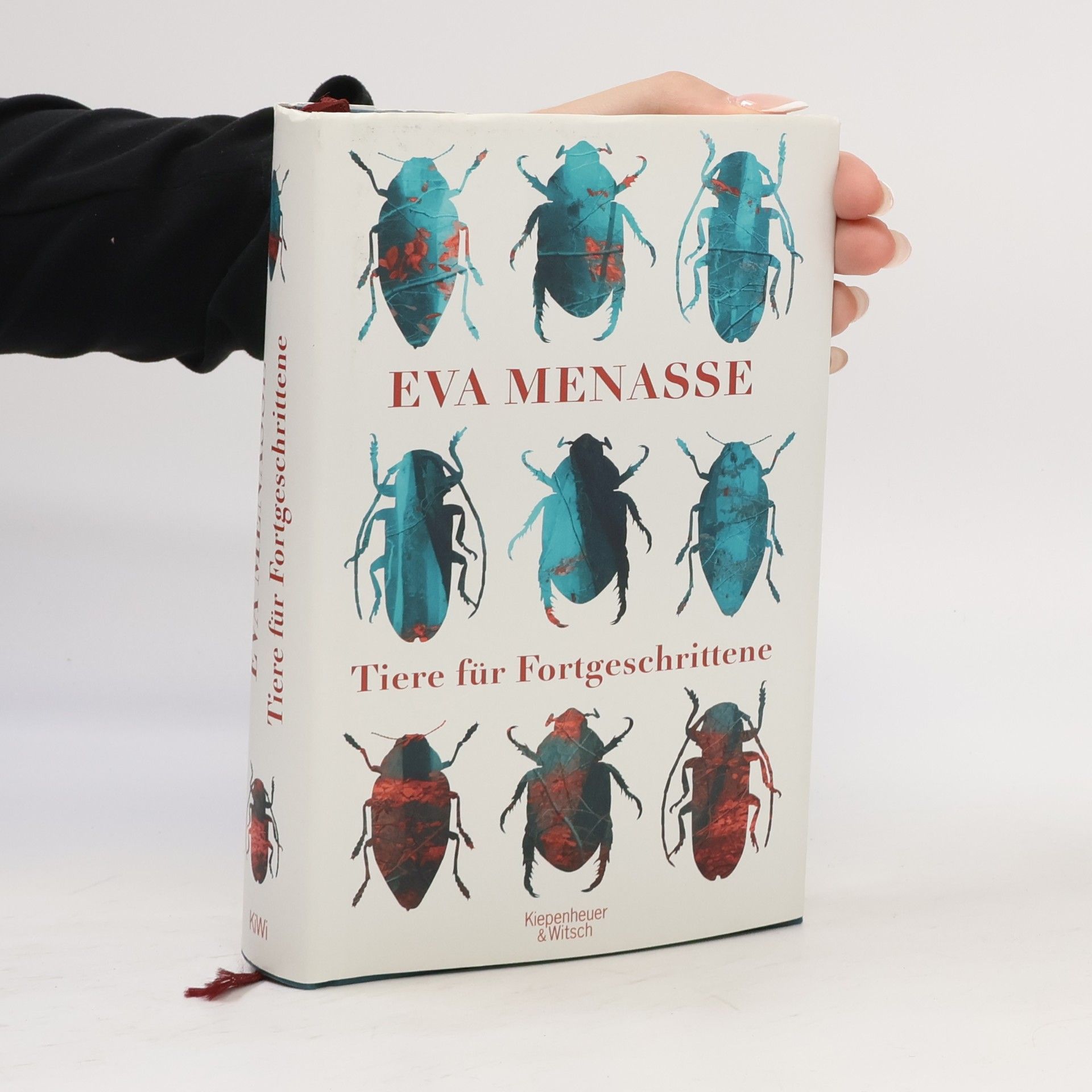 Eva Menasse Tiere für Fortgeschrittene