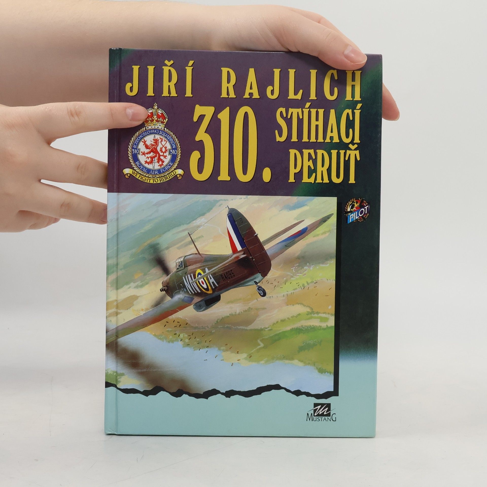Jiří Rajlich 310. stíhací peruť