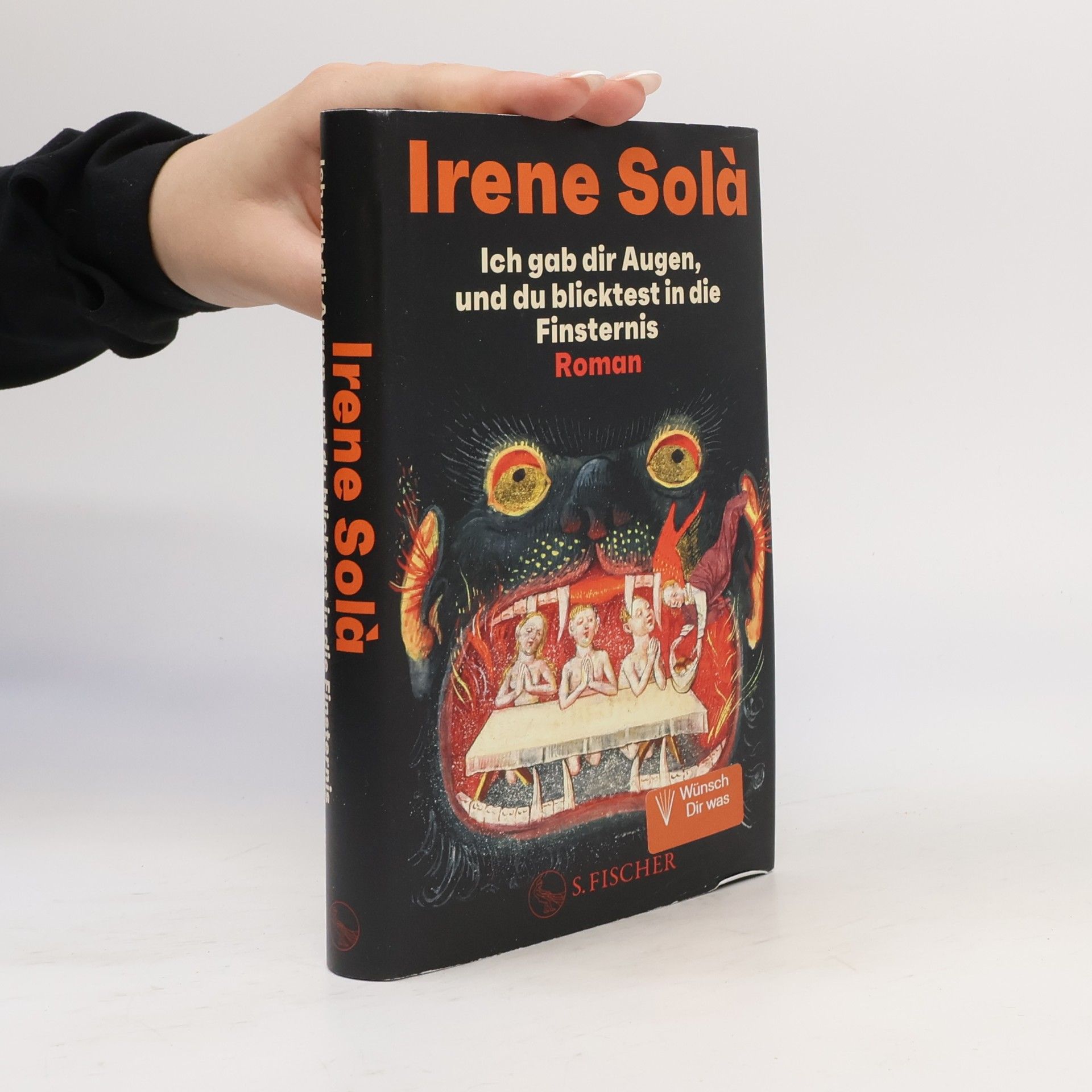 Irene Solà Ich gab dir Augen, und du blicktest in die Finsternis