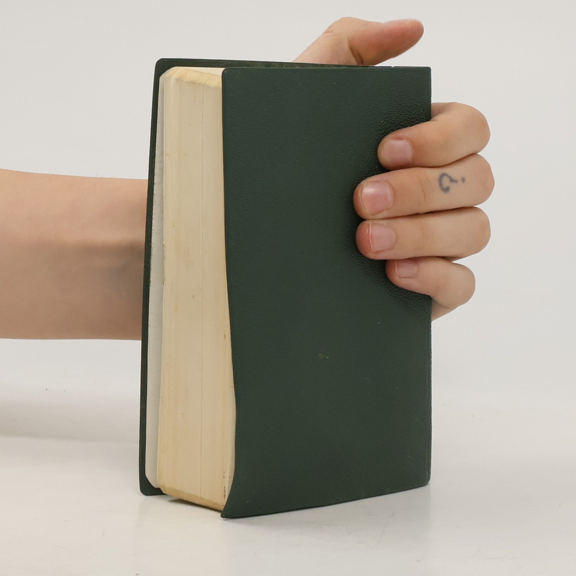 Kolektiv autorů Biblí svatá aneb všecka svatá písma Starého a Nového zákona