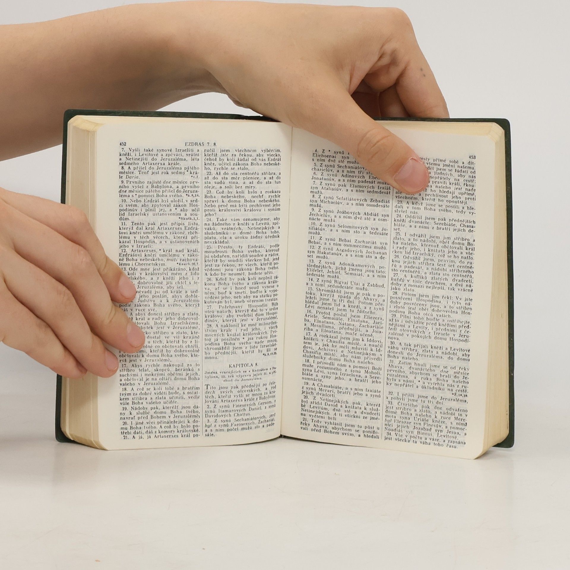 Kolektiv autorů Biblí svatá aneb všecka svatá písma Starého a Nového zákona