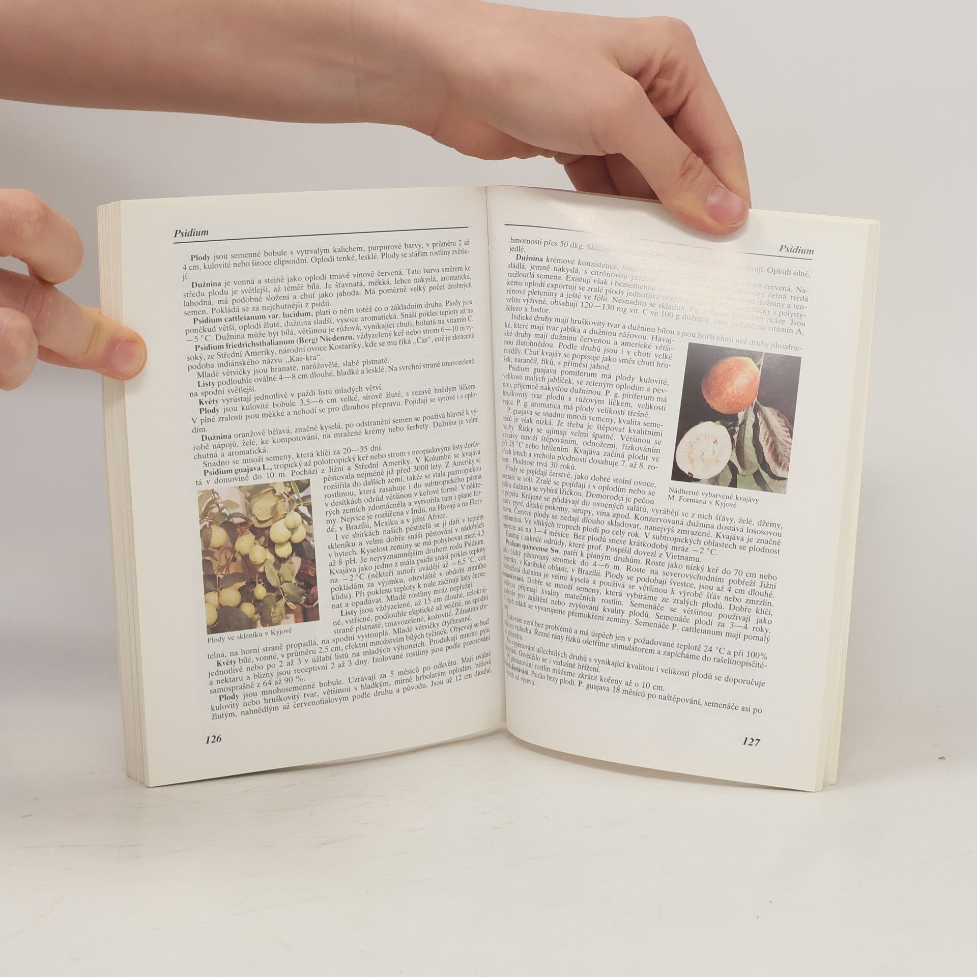 Jiří Šamla Subtropy. Pěstitelské praktikum. 2. díl