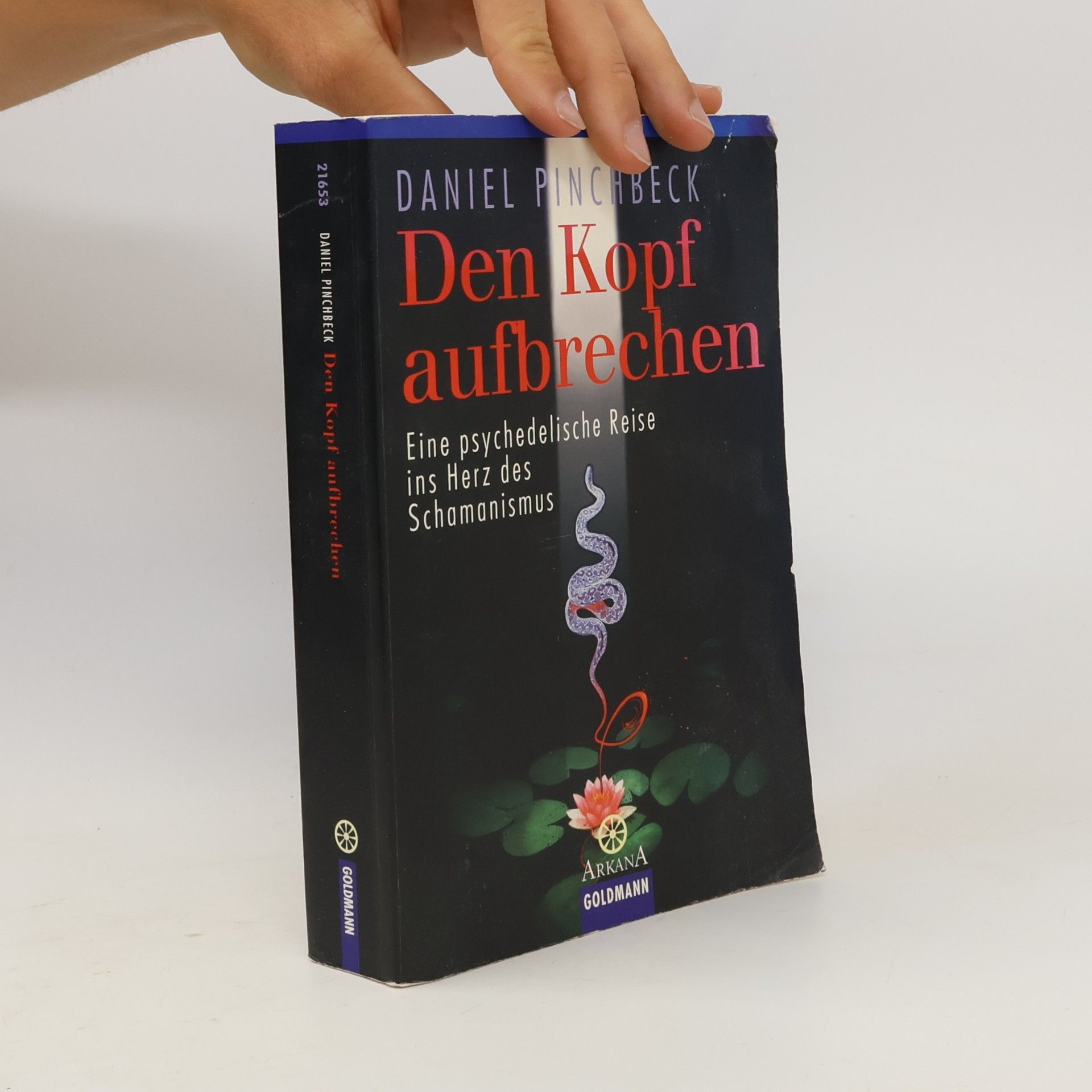 Daniel Pinchbeck Den Kopf aufbrechen