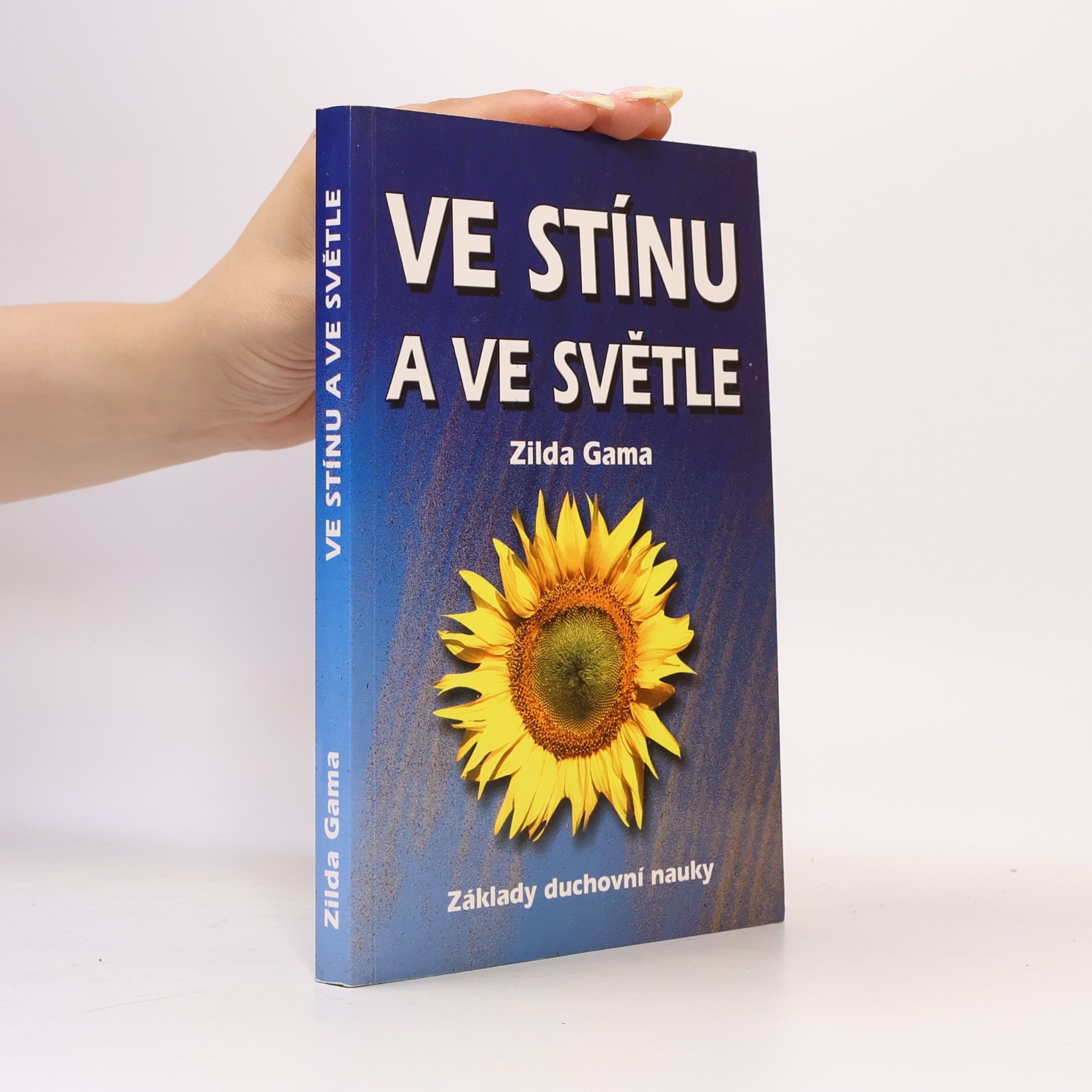 Zilda Gama Ve stínu a ve světle : posmrtný román Viktora Huga