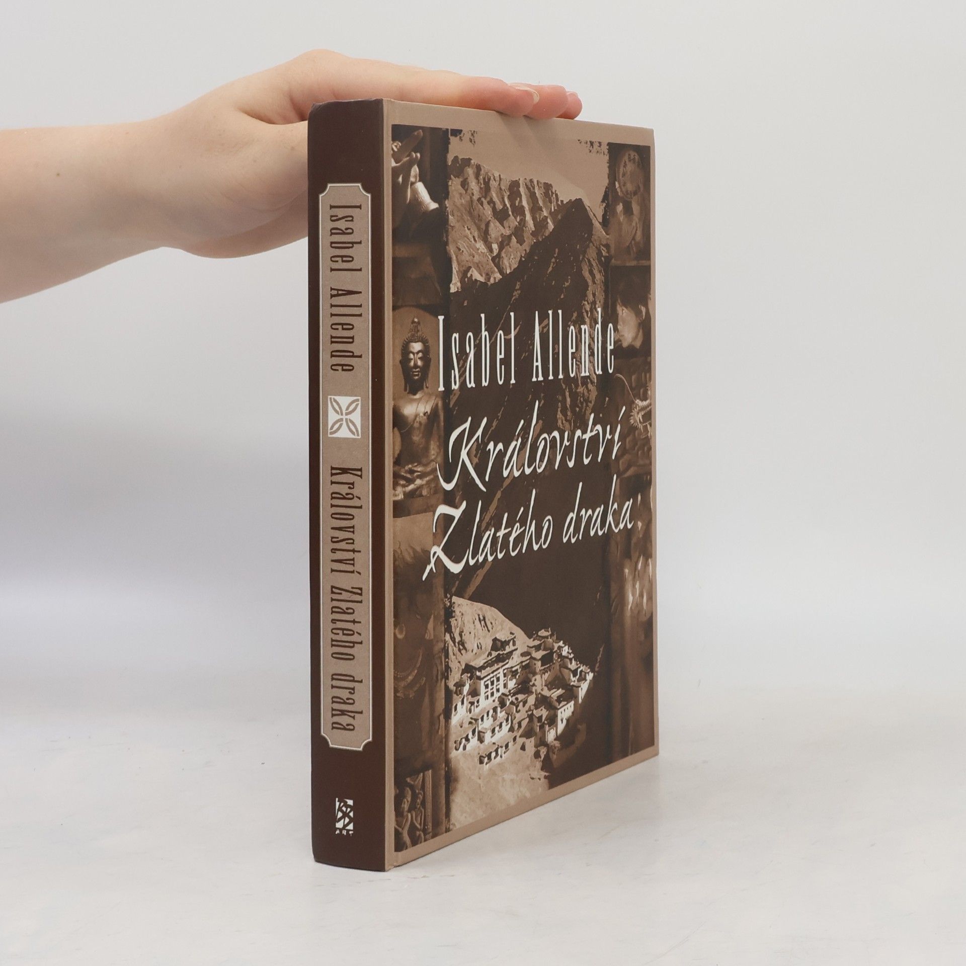 Isabel Allende Llona Království Zlatého draka