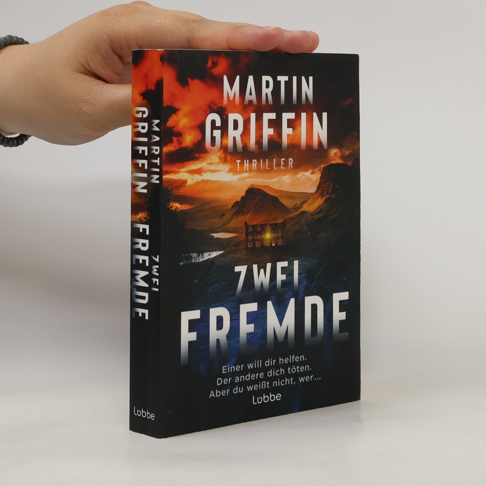 Martin Griffin Zwei Fremde